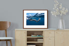 Pixalot ® Dolphin Trio