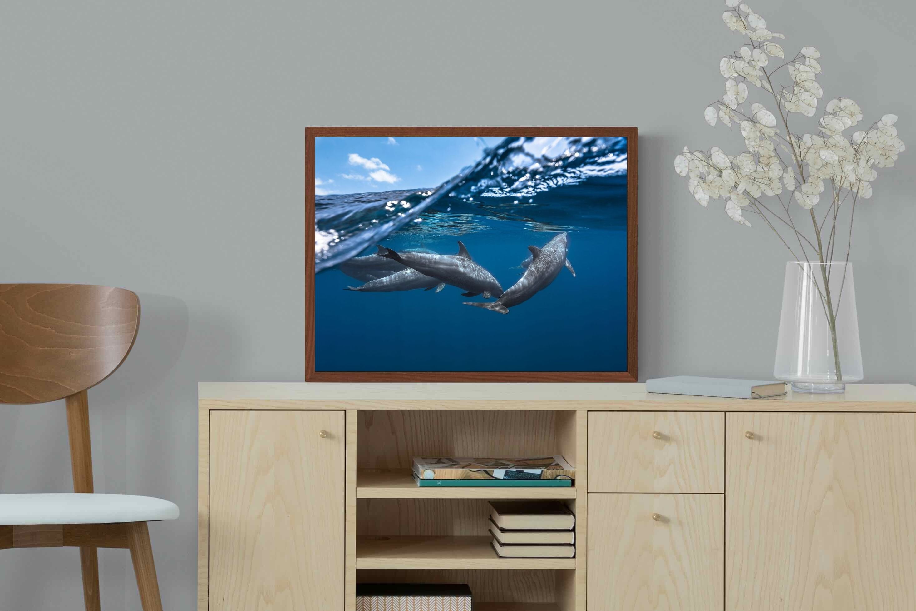 Pixalot ® Dolphin Trio