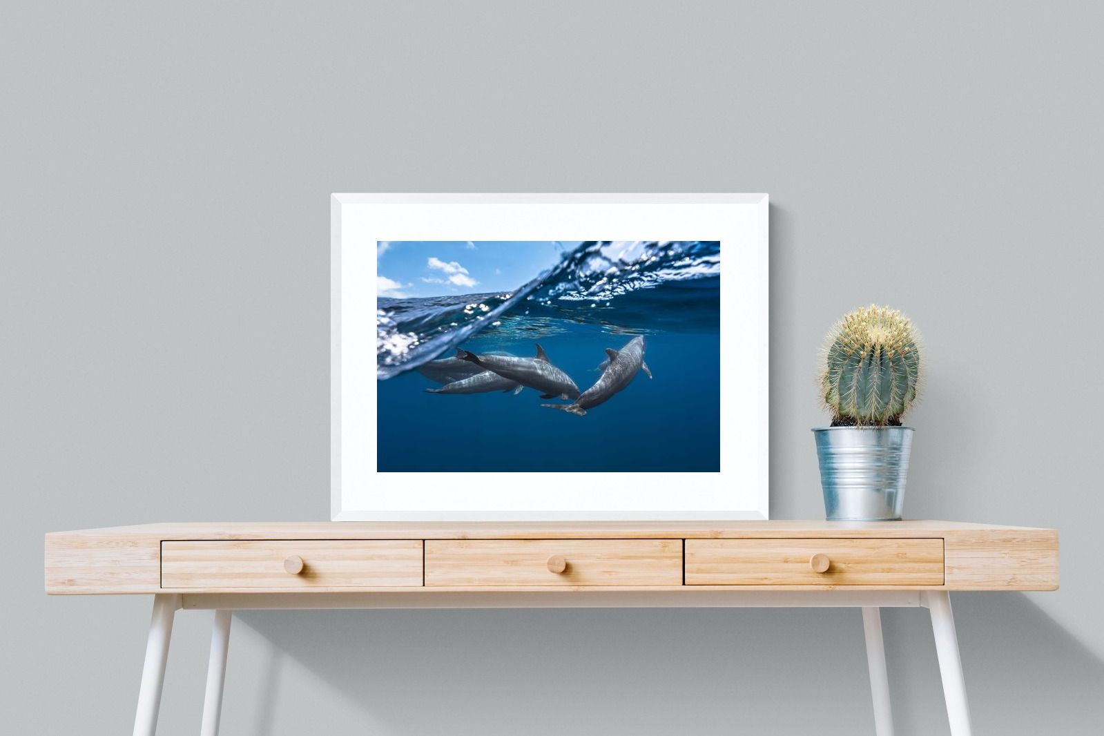 Pixalot Dolphin Trio