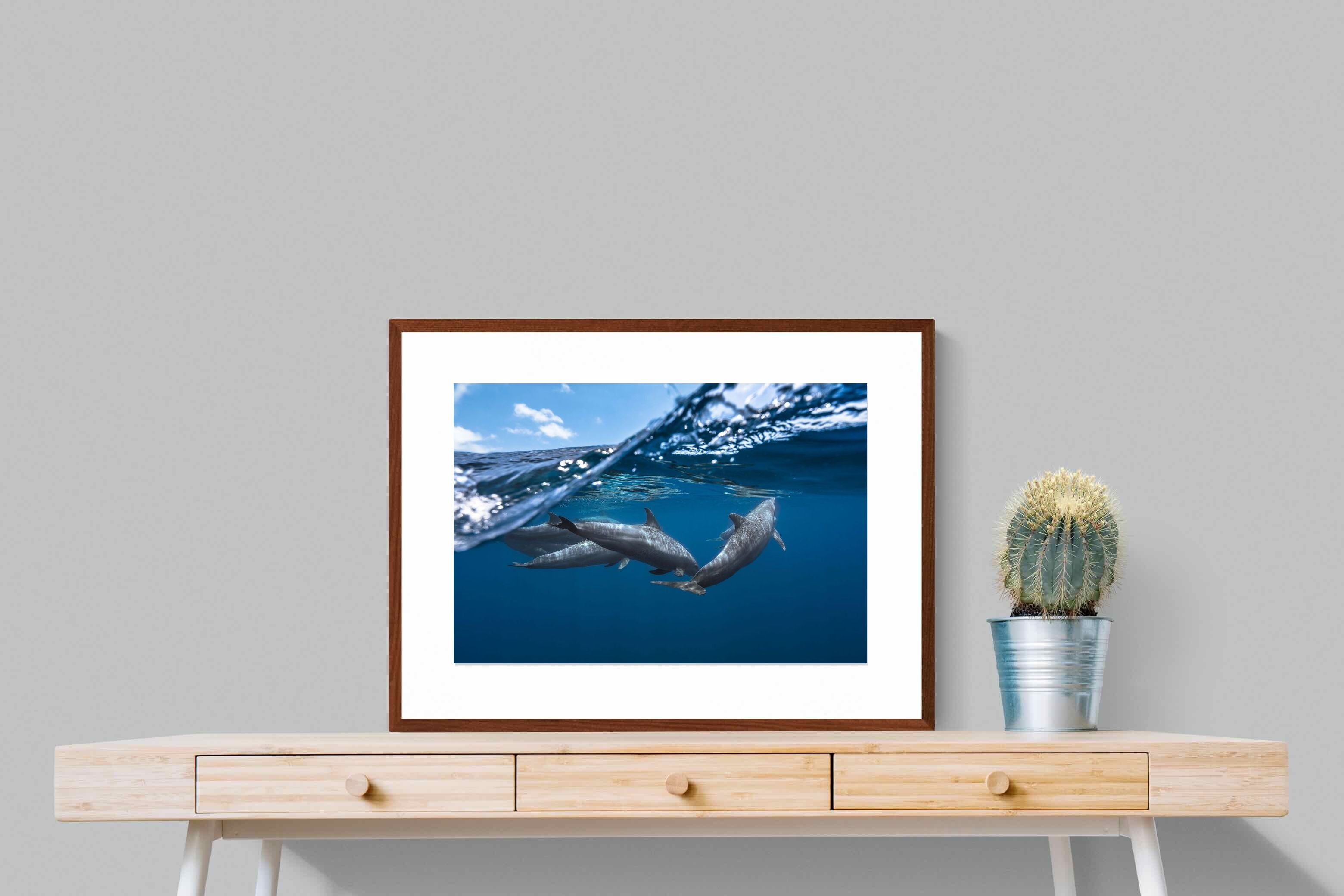 Pixalot ® Dolphin Trio