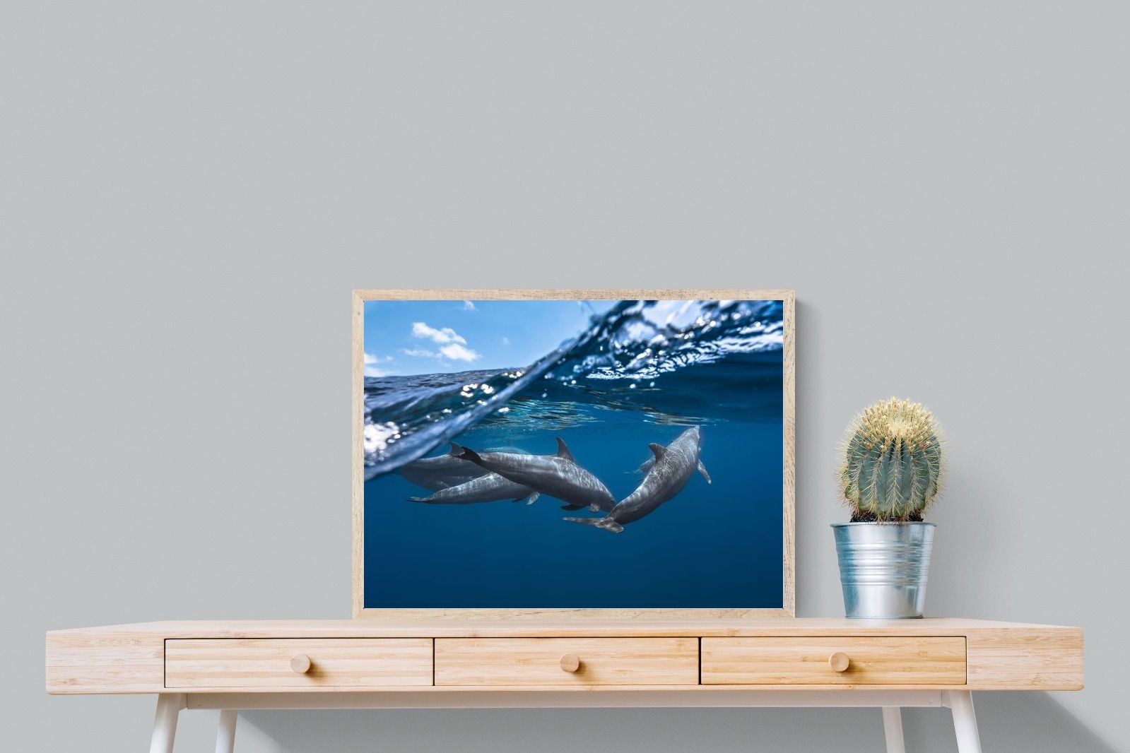 Pixalot Dolphin Trio