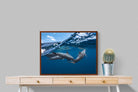 Pixalot ® Dolphin Trio