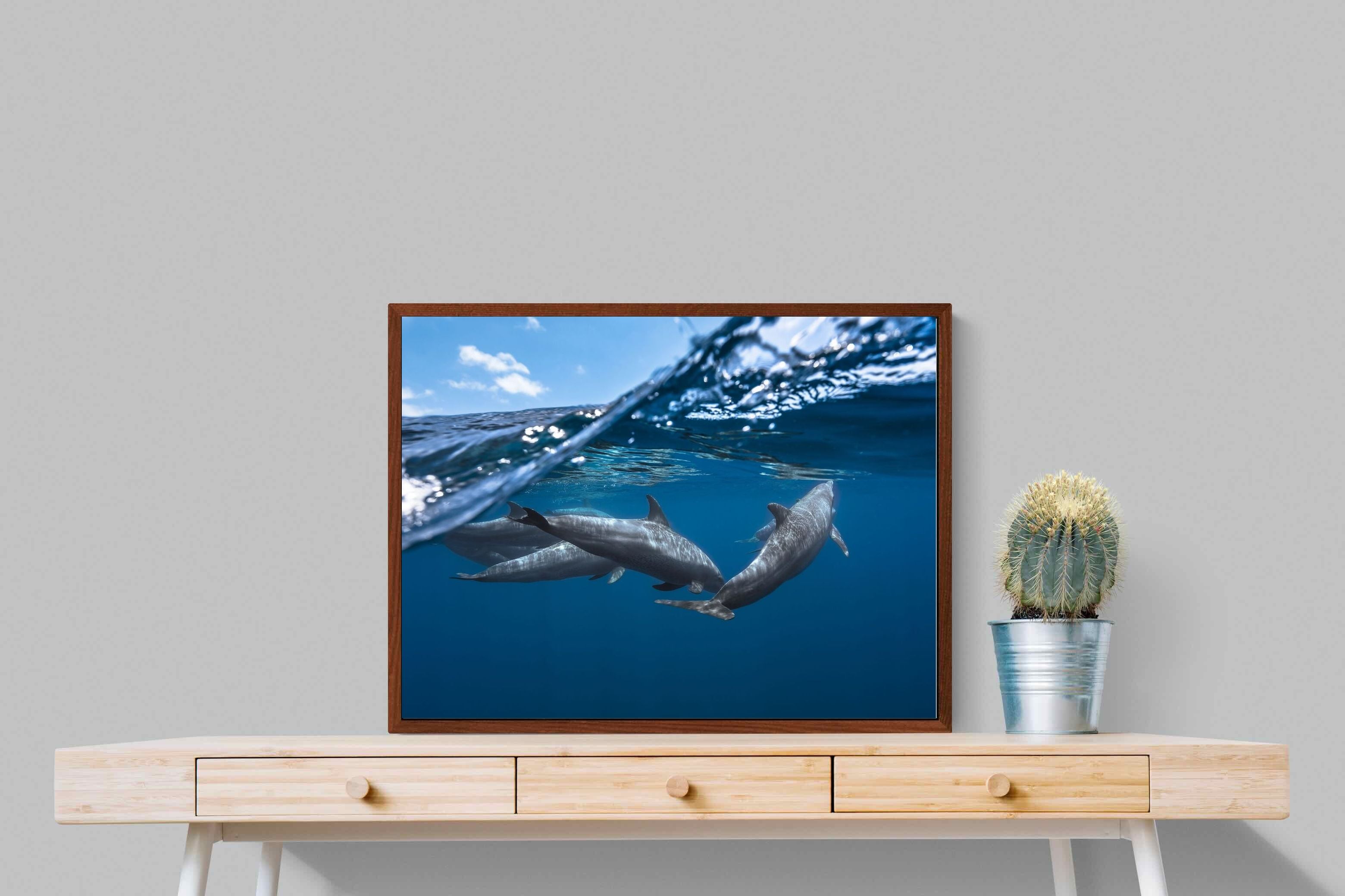 Pixalot ® Dolphin Trio