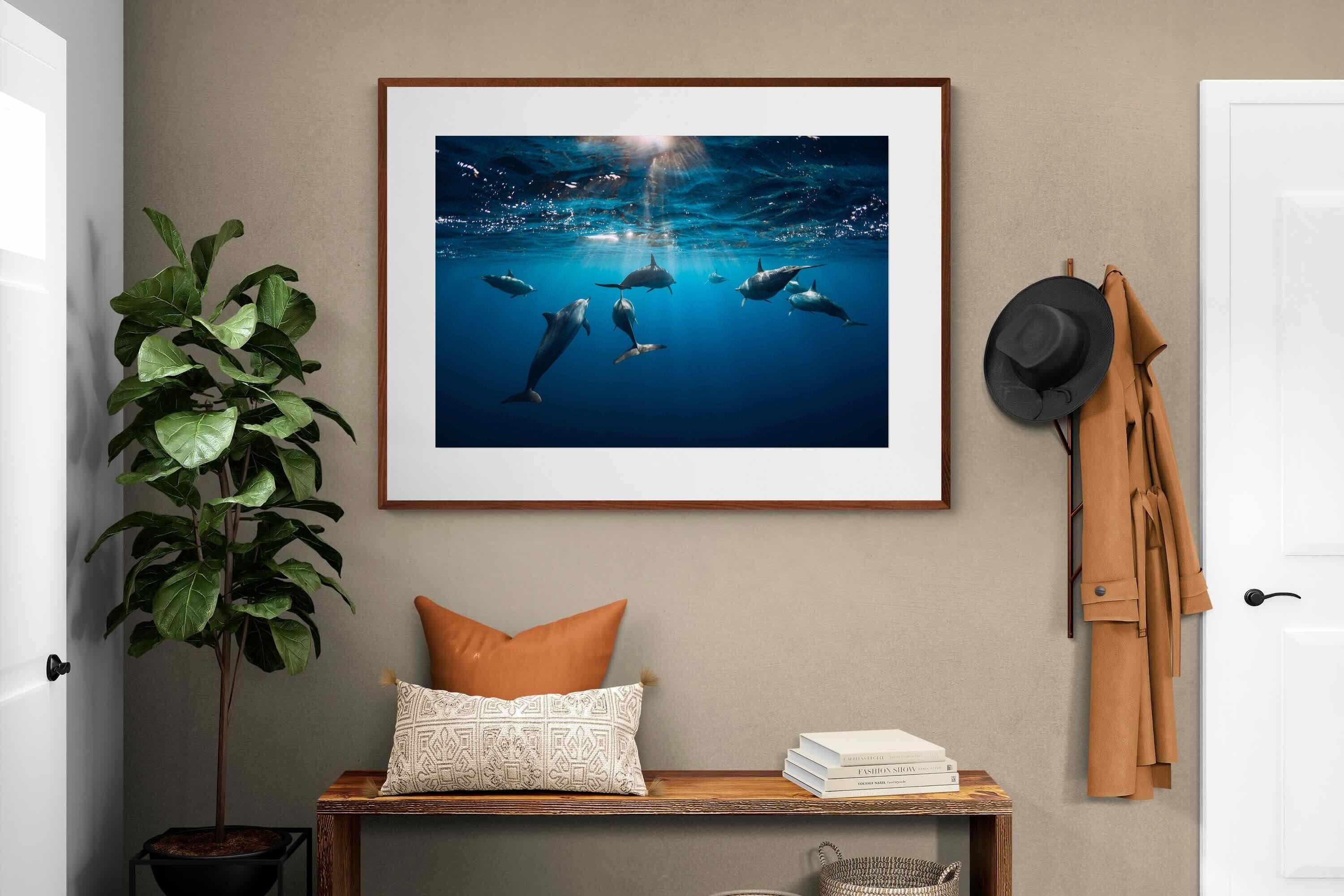 Pixalot ® Dolphins
