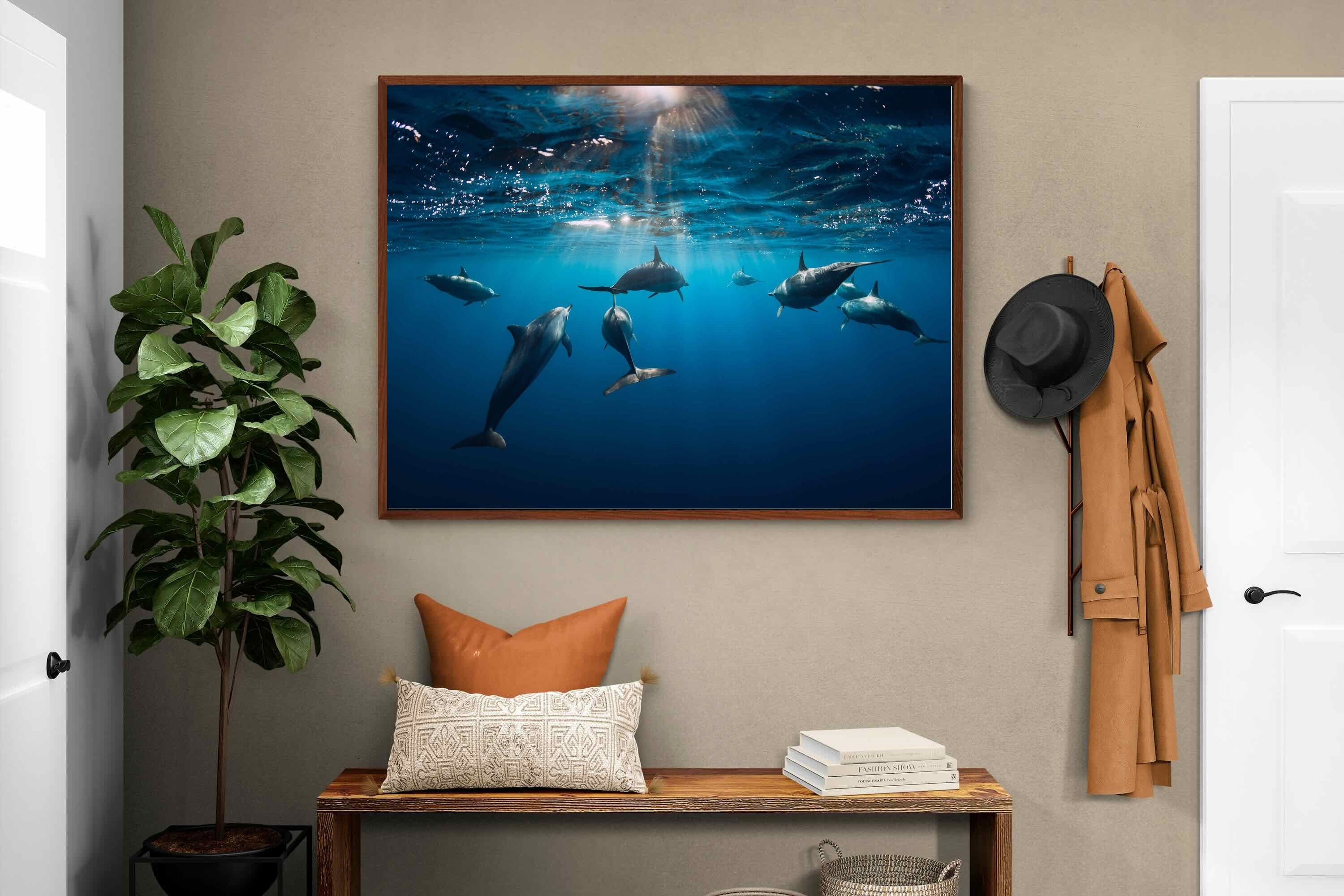 Pixalot ® Dolphins