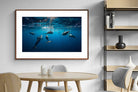 Pixalot ® Dolphins