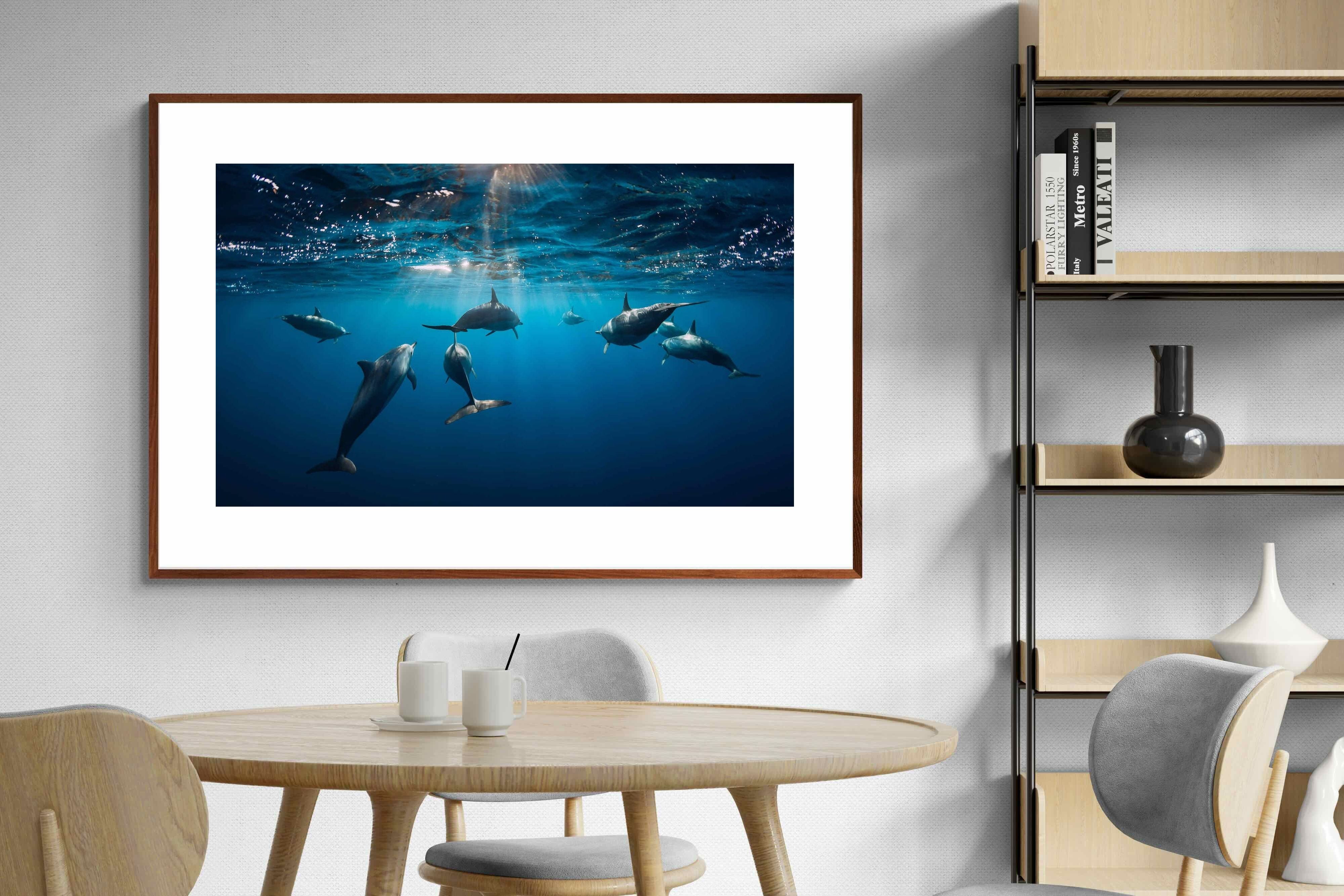 Pixalot ® Dolphins