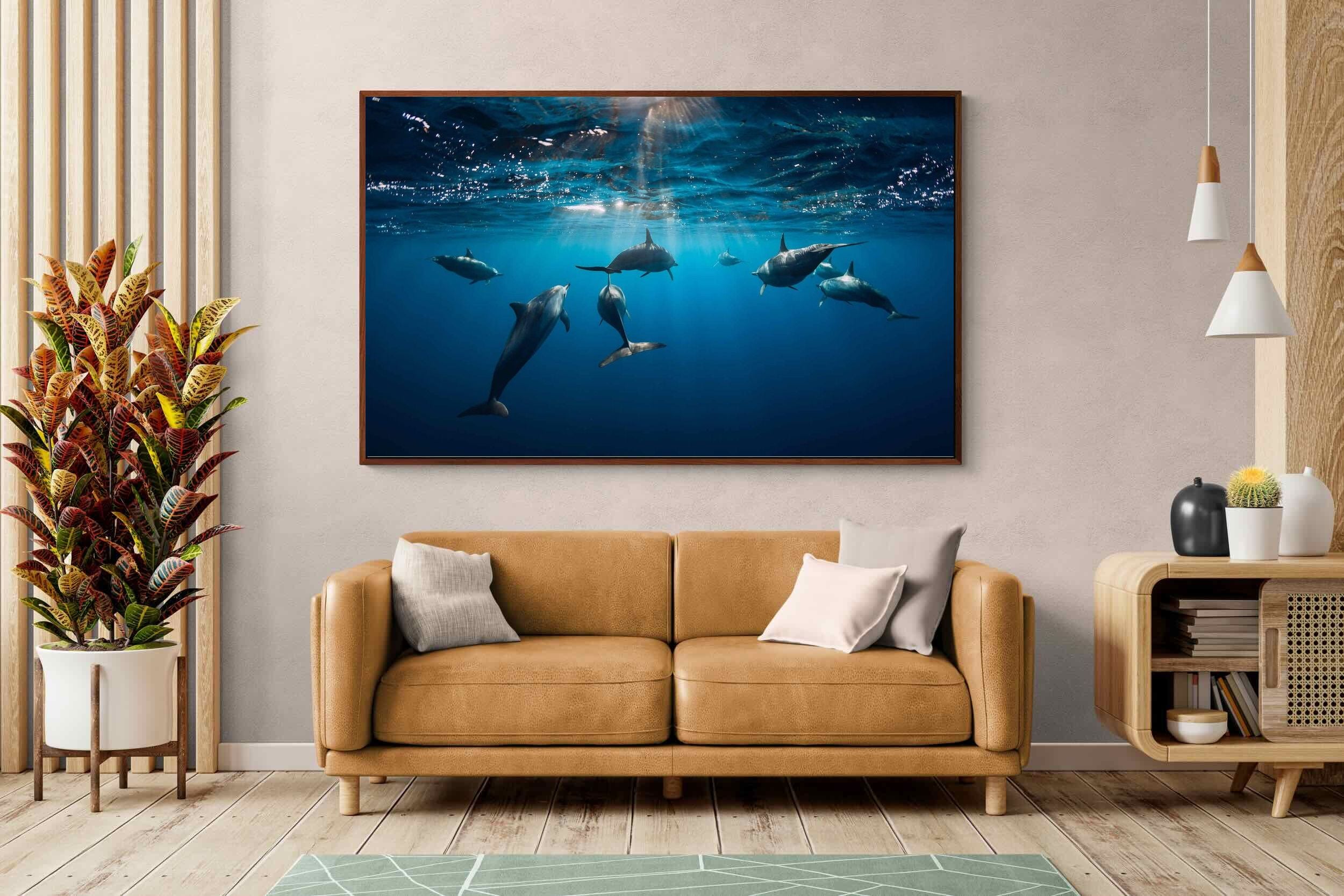 Pixalot ® Dolphins