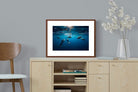 Pixalot ® Dolphins