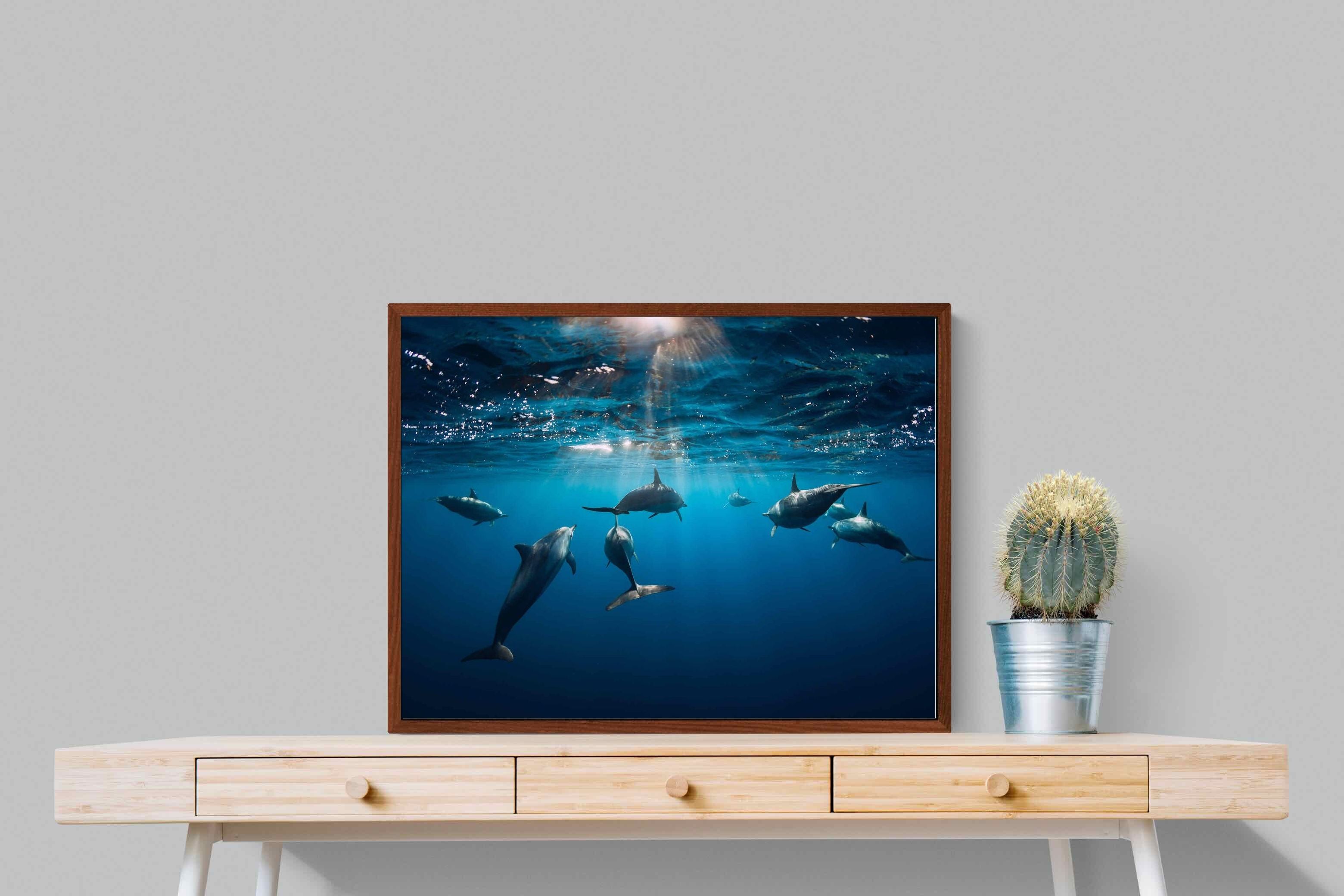 Pixalot ® Dolphins