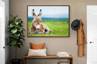 Pixalot ® Donkey Foal