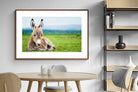 Pixalot ® Donkey Foal