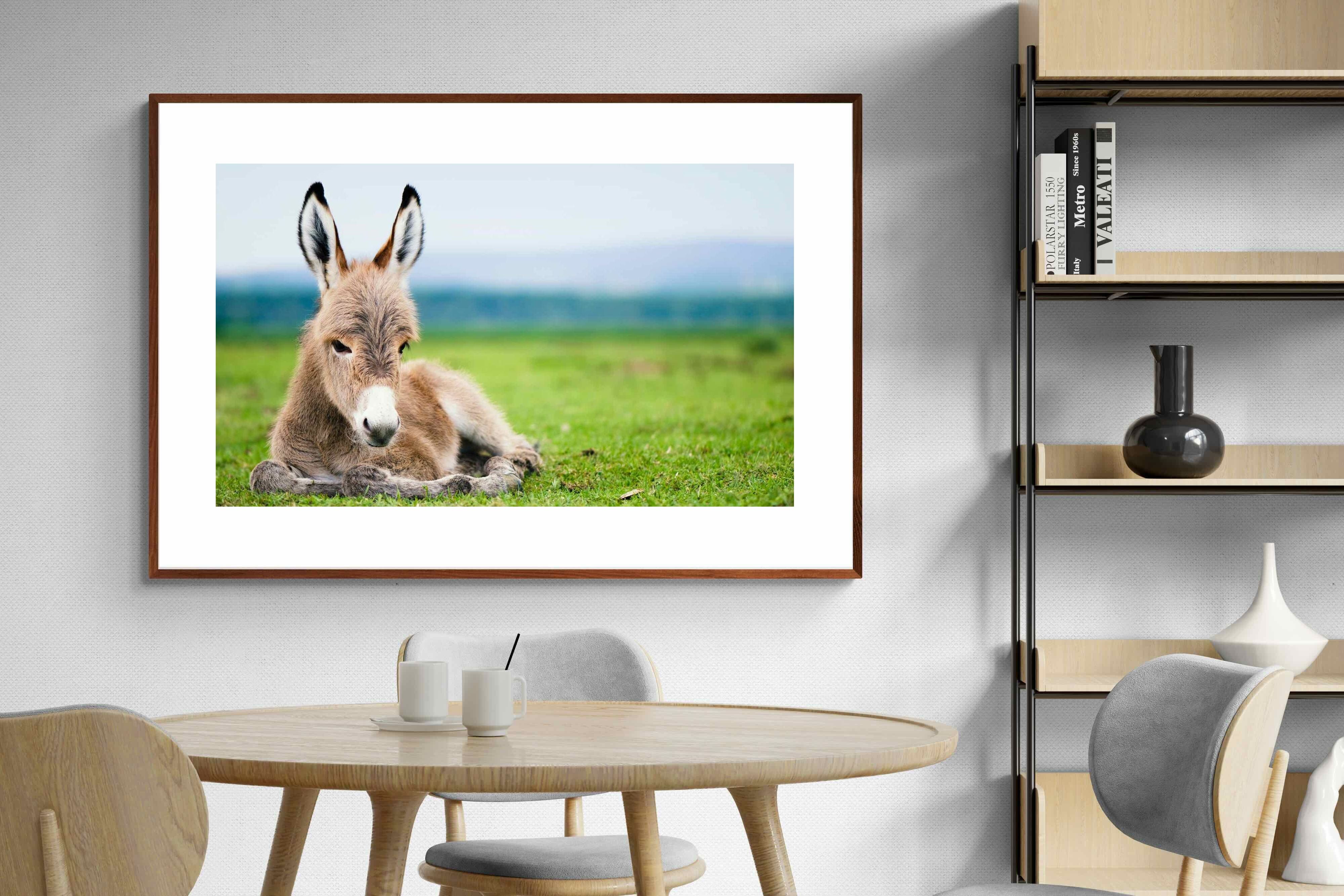 Pixalot ® Donkey Foal