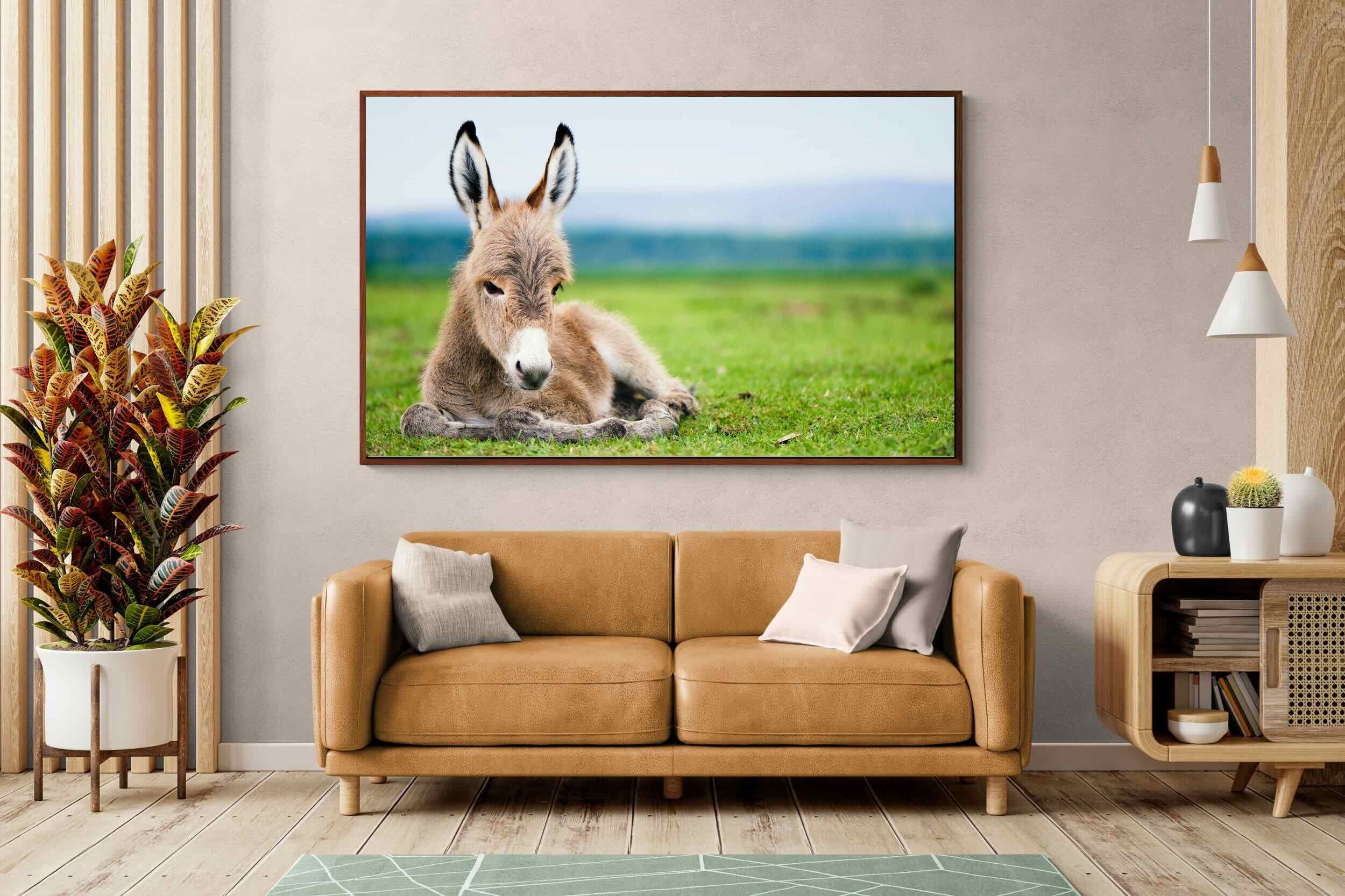 Pixalot ® Donkey Foal