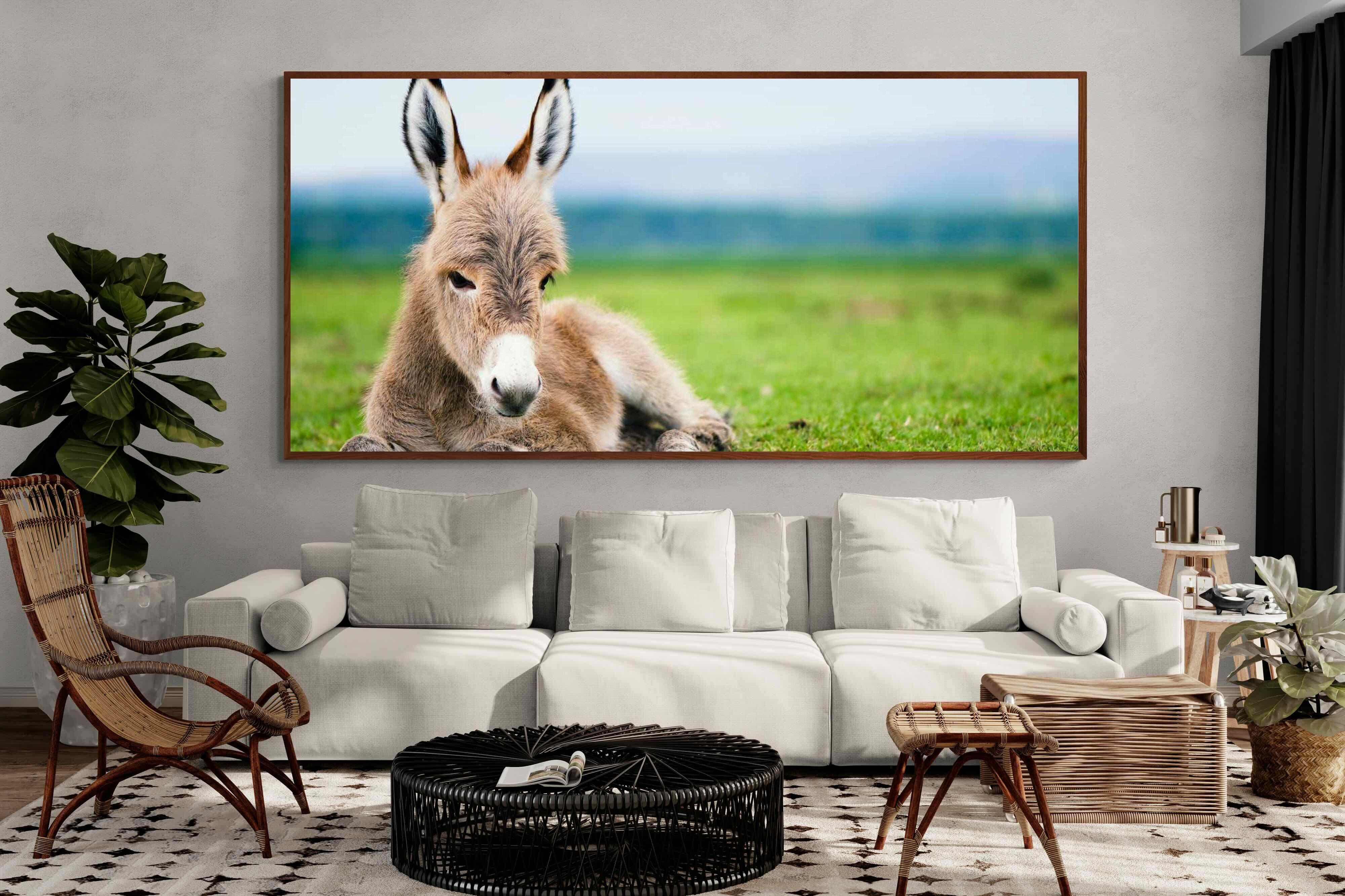 Pixalot ® Donkey Foal