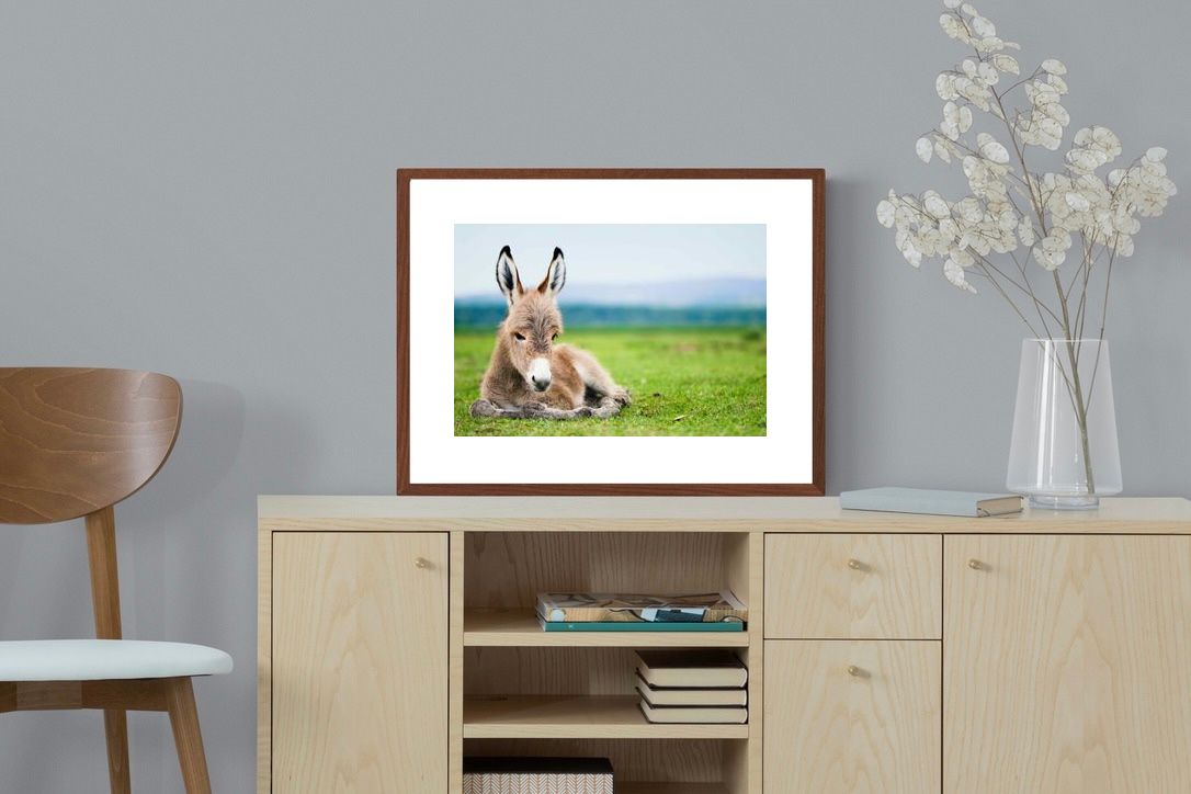 Pixalot ® Donkey Foal