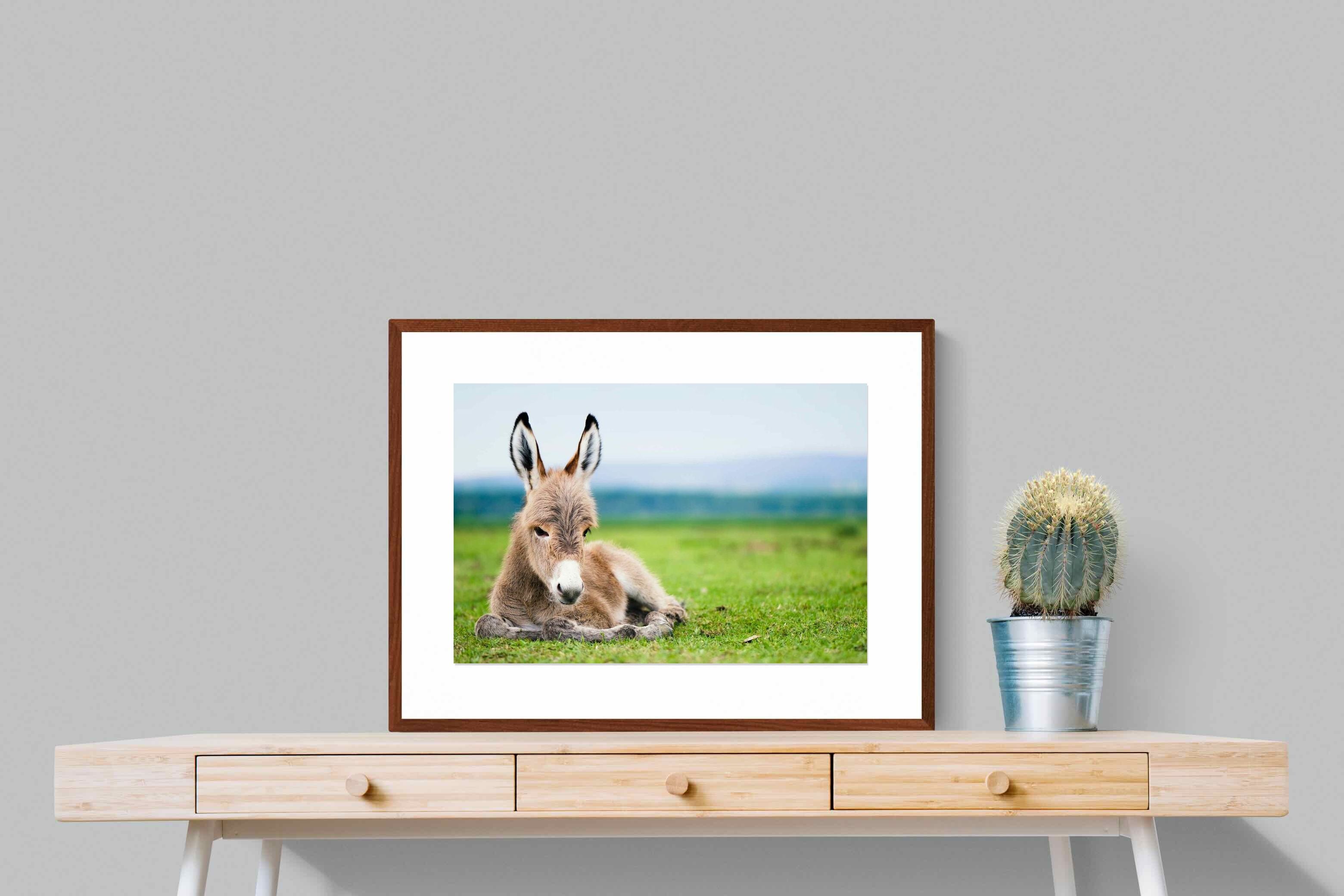 Pixalot ® Donkey Foal