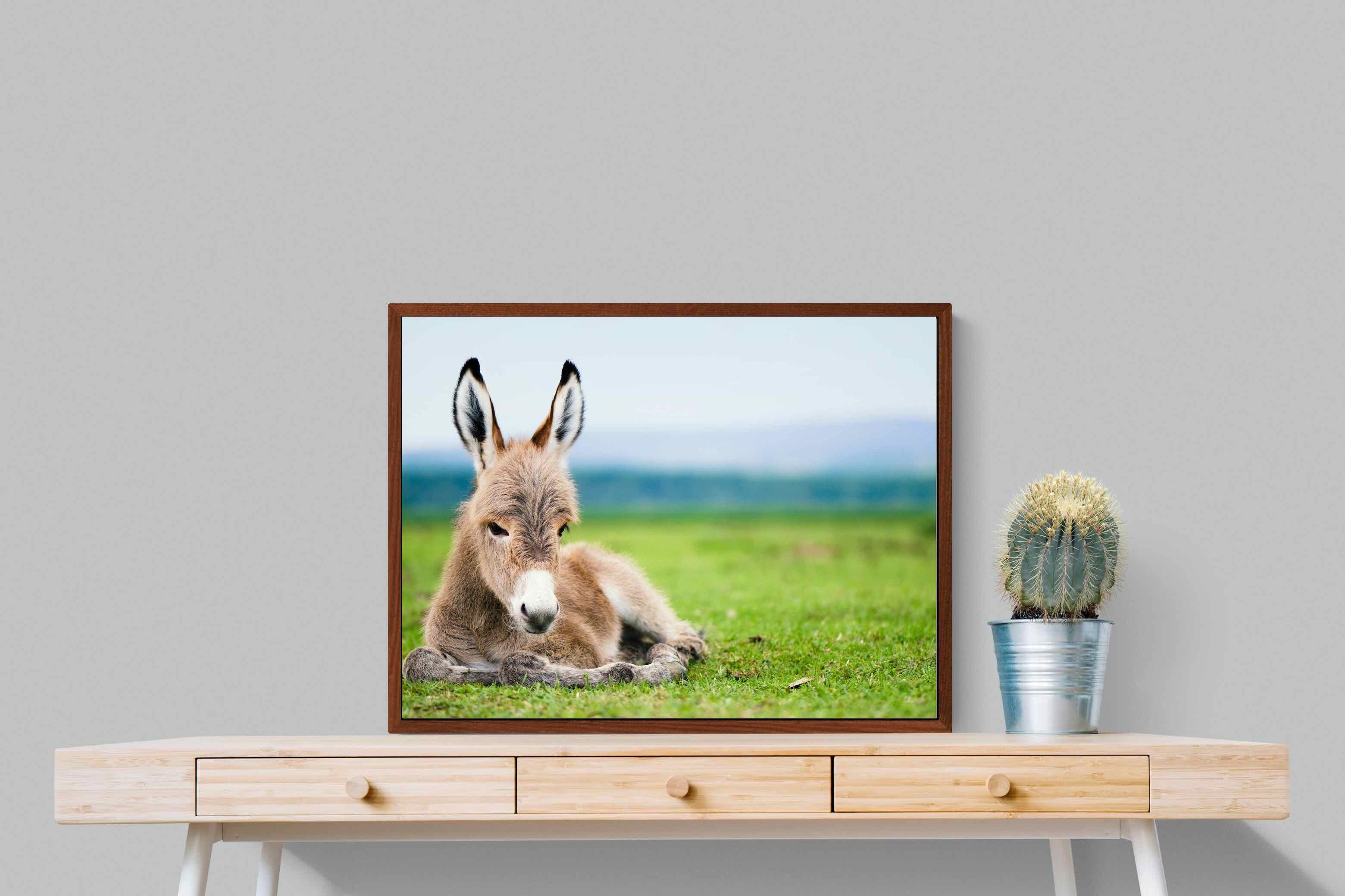Pixalot ® Donkey Foal