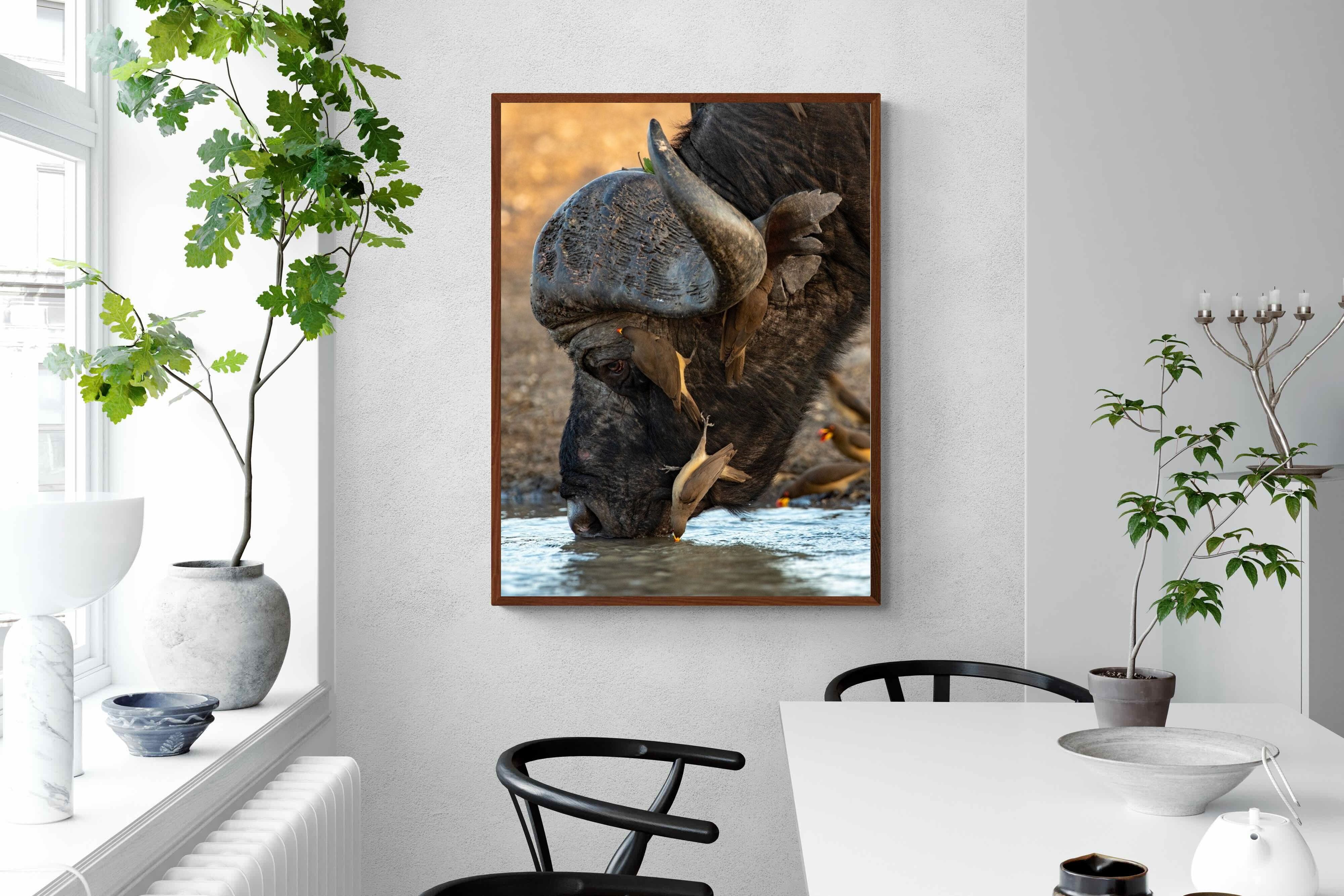 Pixalot Drinking Buffalo