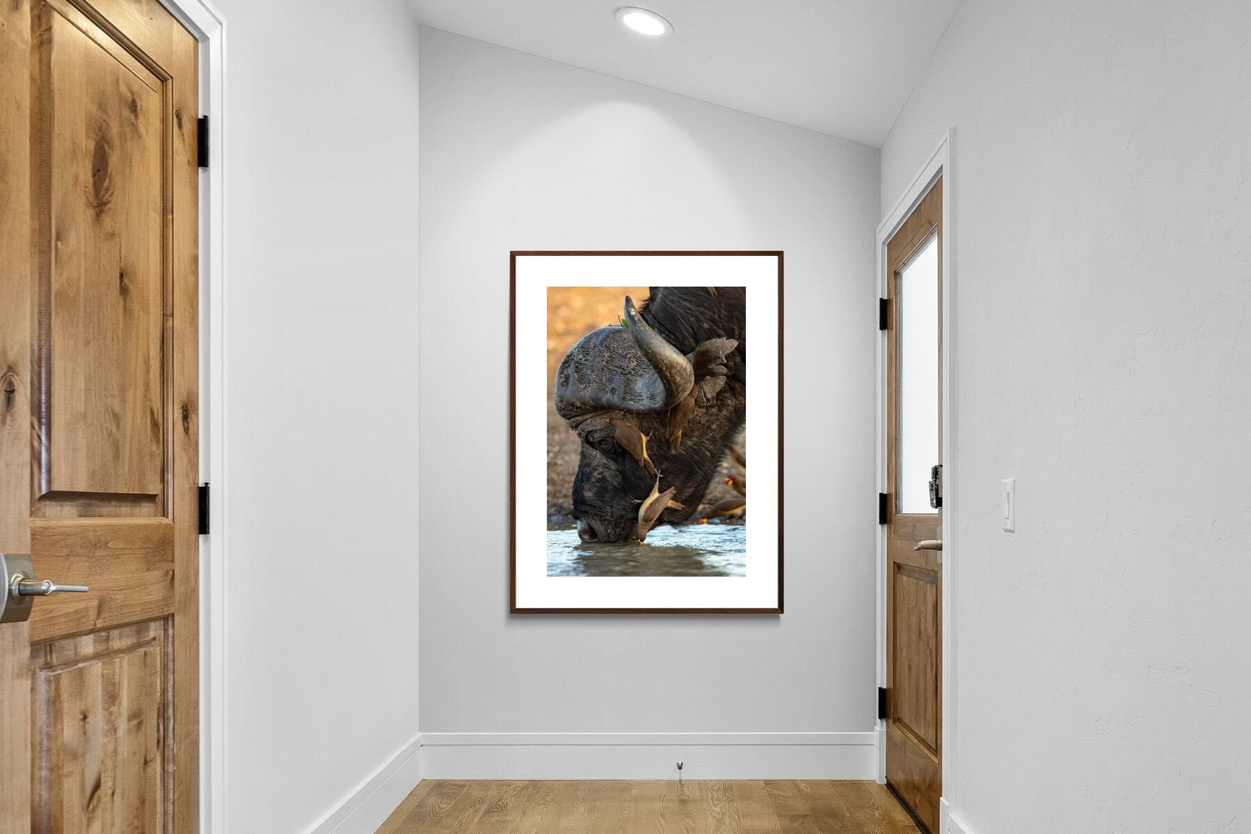 Pixalot Drinking Buffalo