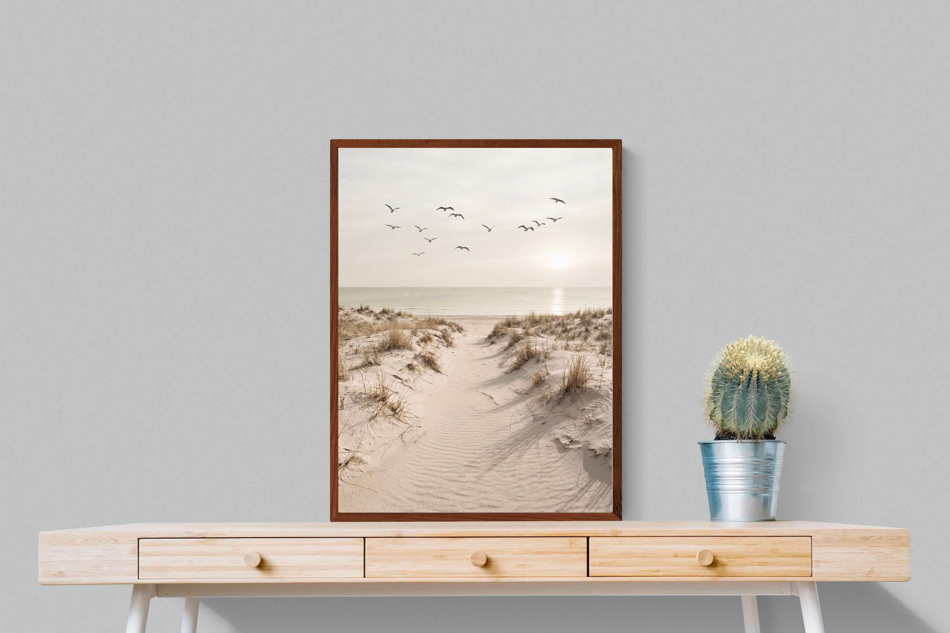 Pixalot ® Dune Flight