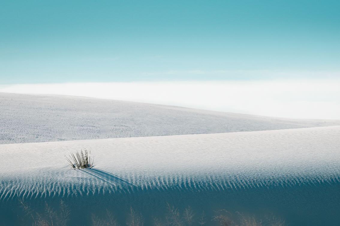 Dunescape-Wall_Art-Pixalot