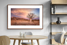 Pixalot ® Dusky Baobab