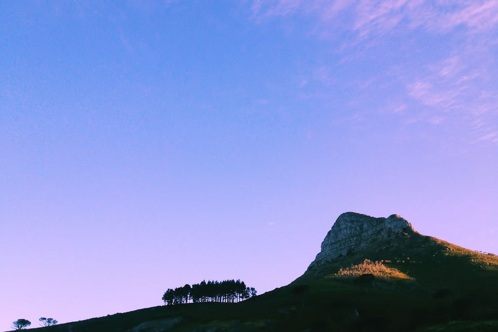 Dusky Camps Bay