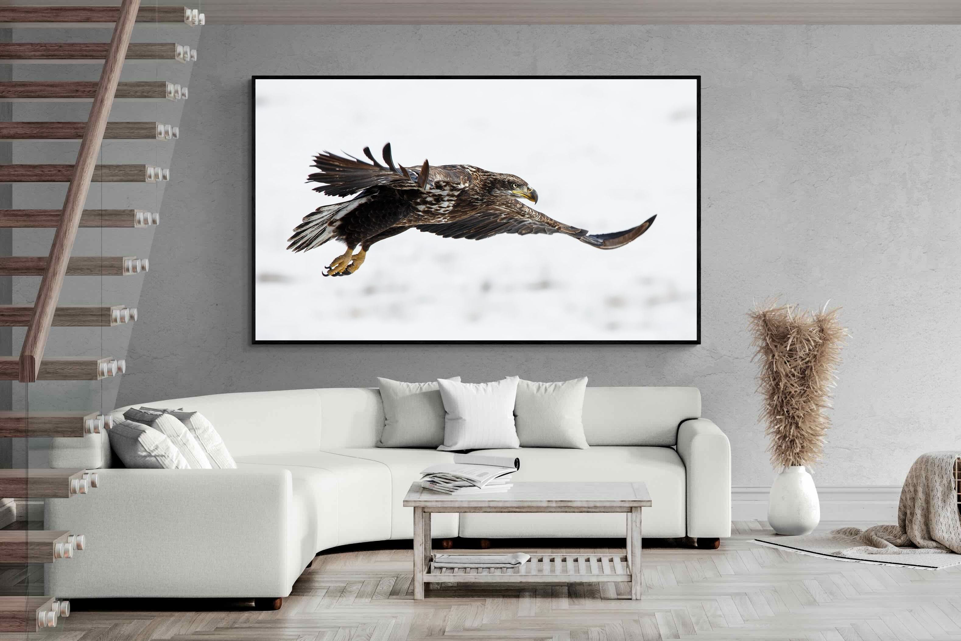 Pixalot Eagle