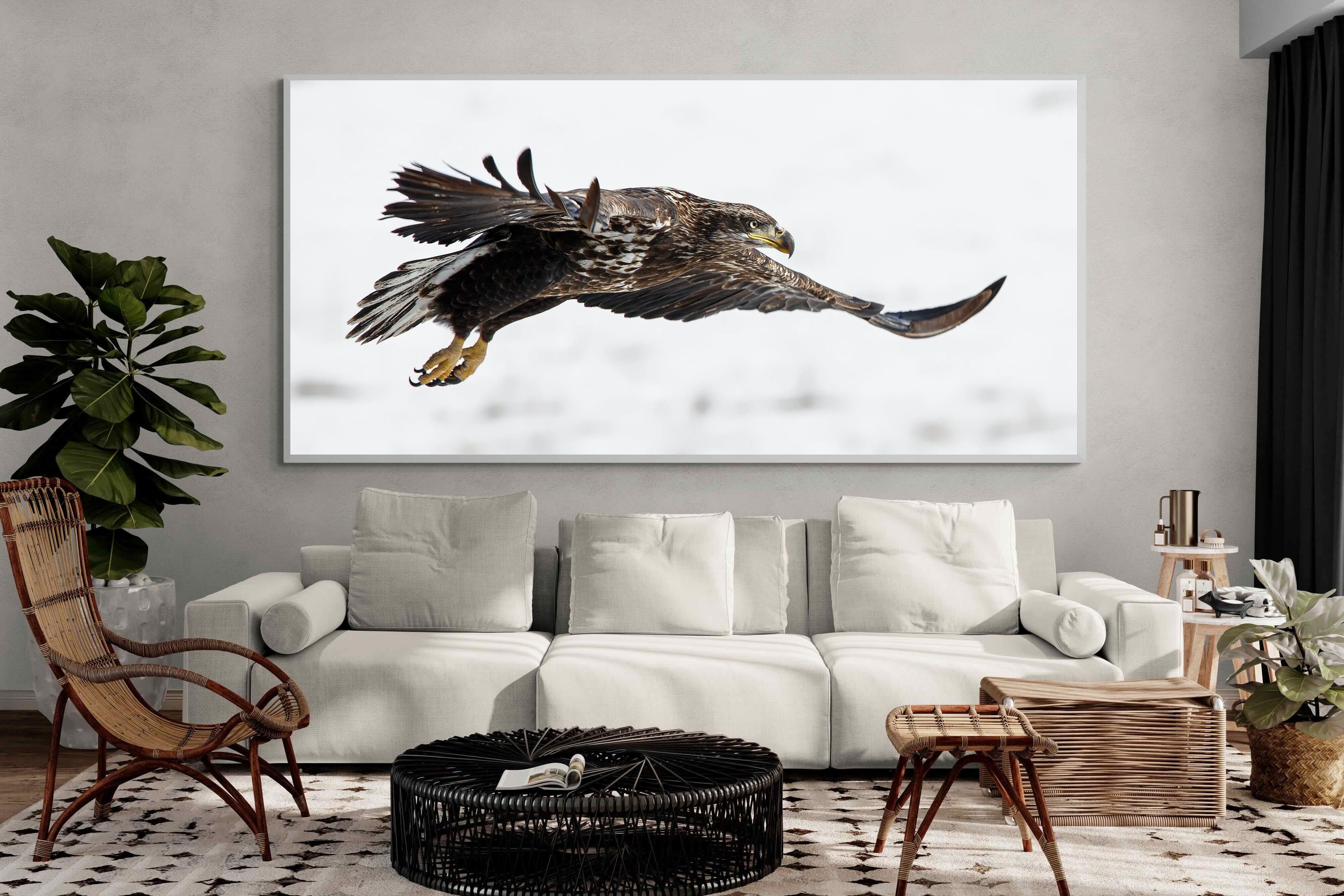 Pixalot Eagle