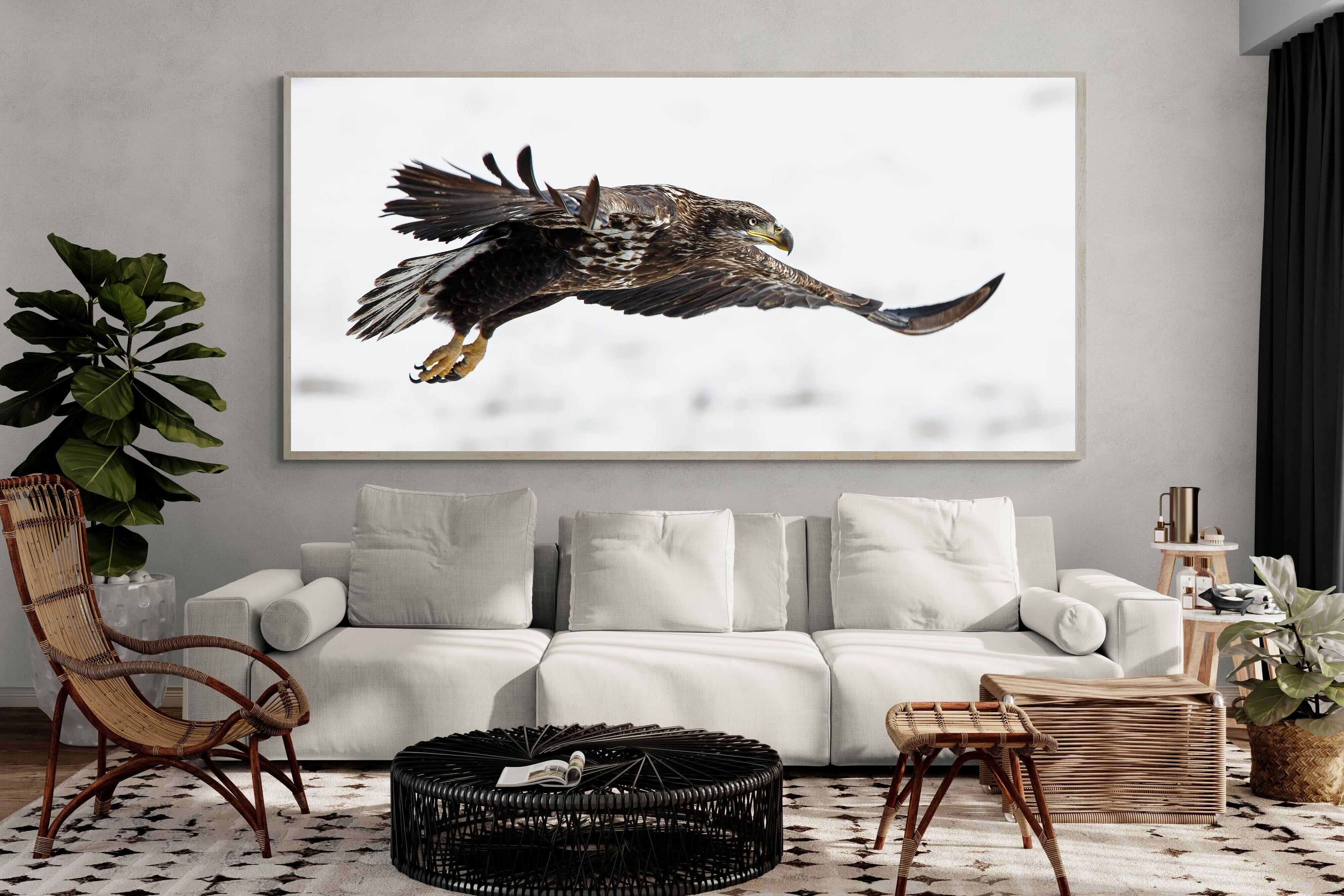 Pixalot Eagle