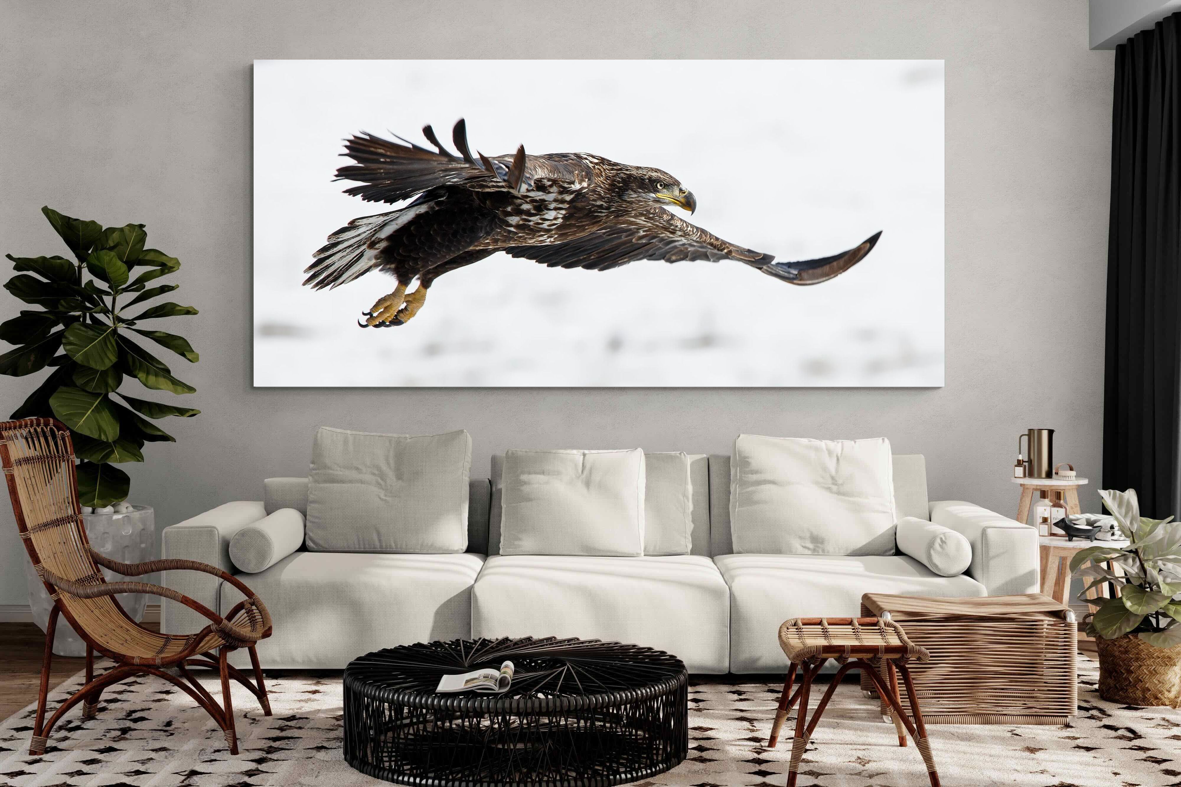 Pixalot Eagle