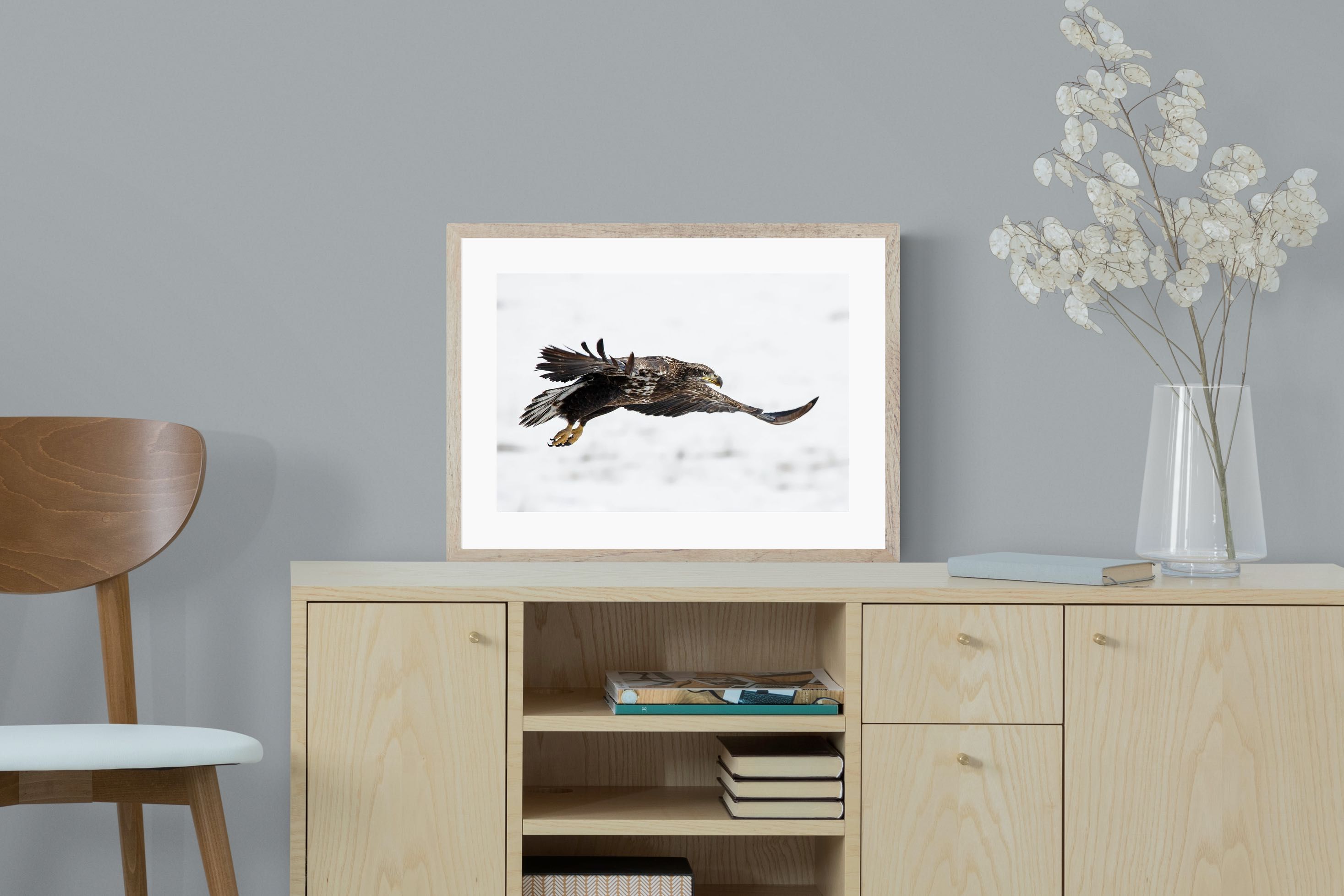Pixalot Eagle