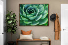 Pixalot ® Echeveria Elegans