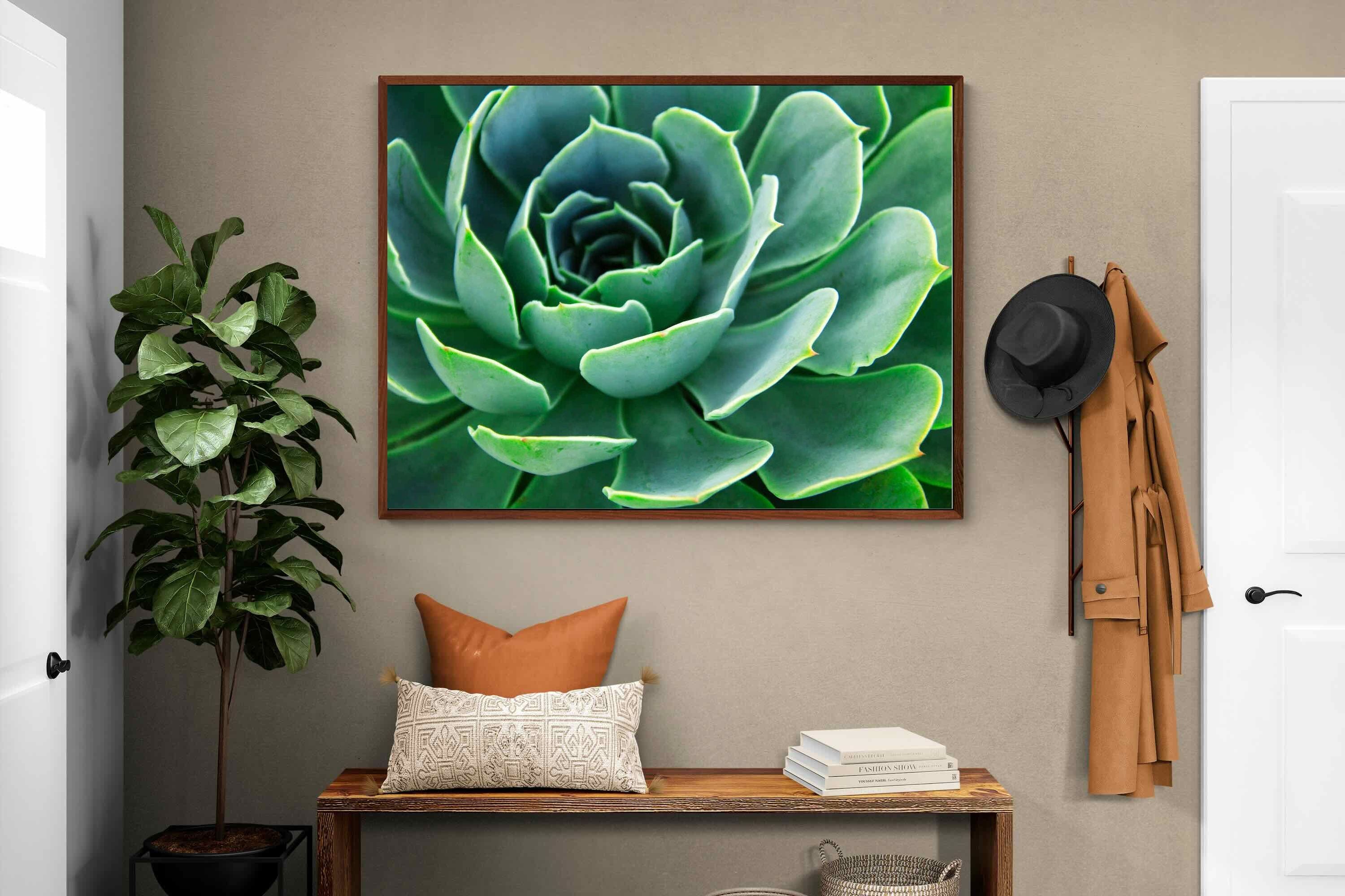 Pixalot ® Echeveria Elegans