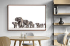 Pixalot ® Elephant Convoy (high key)