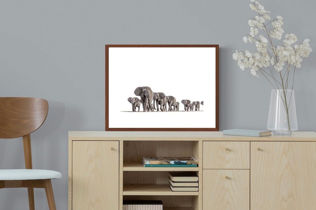 Pixalot ® Elephant Convoy (high key)