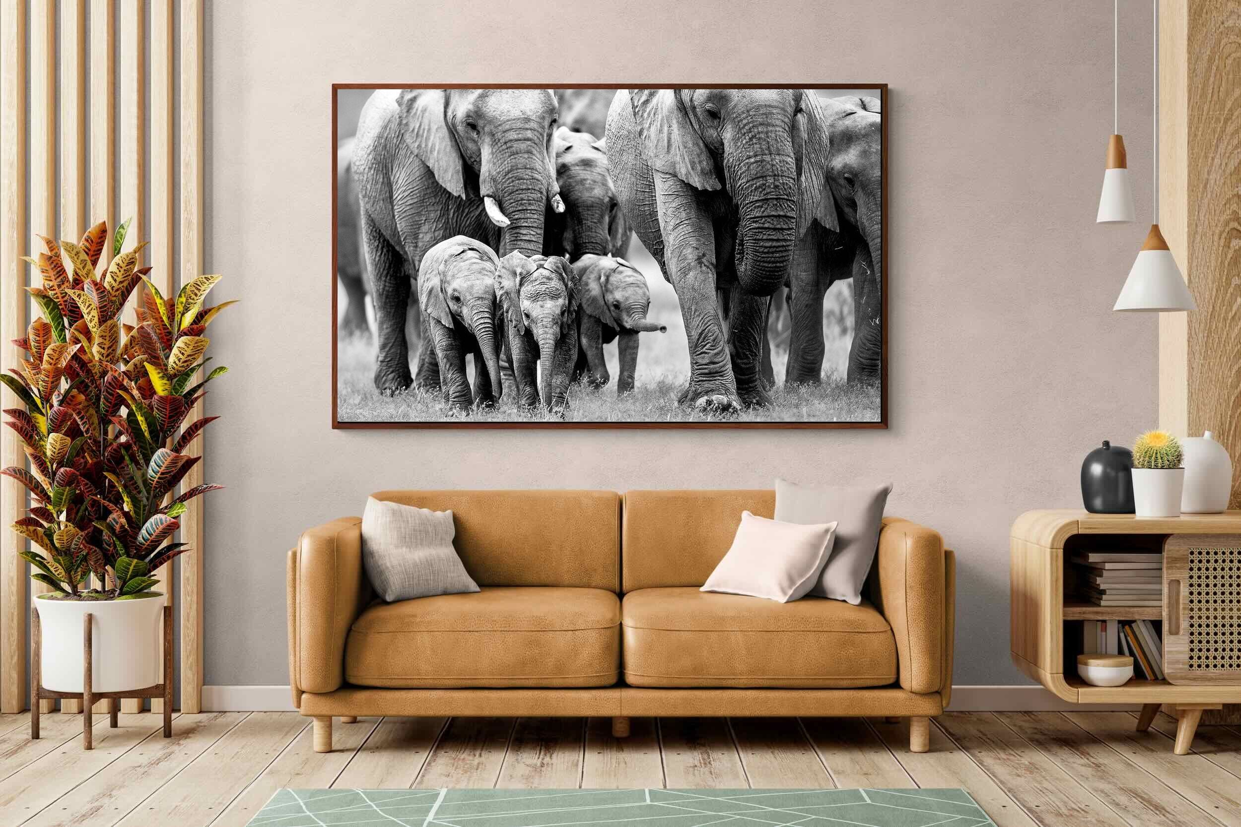 Pixalot ® Elephant Family