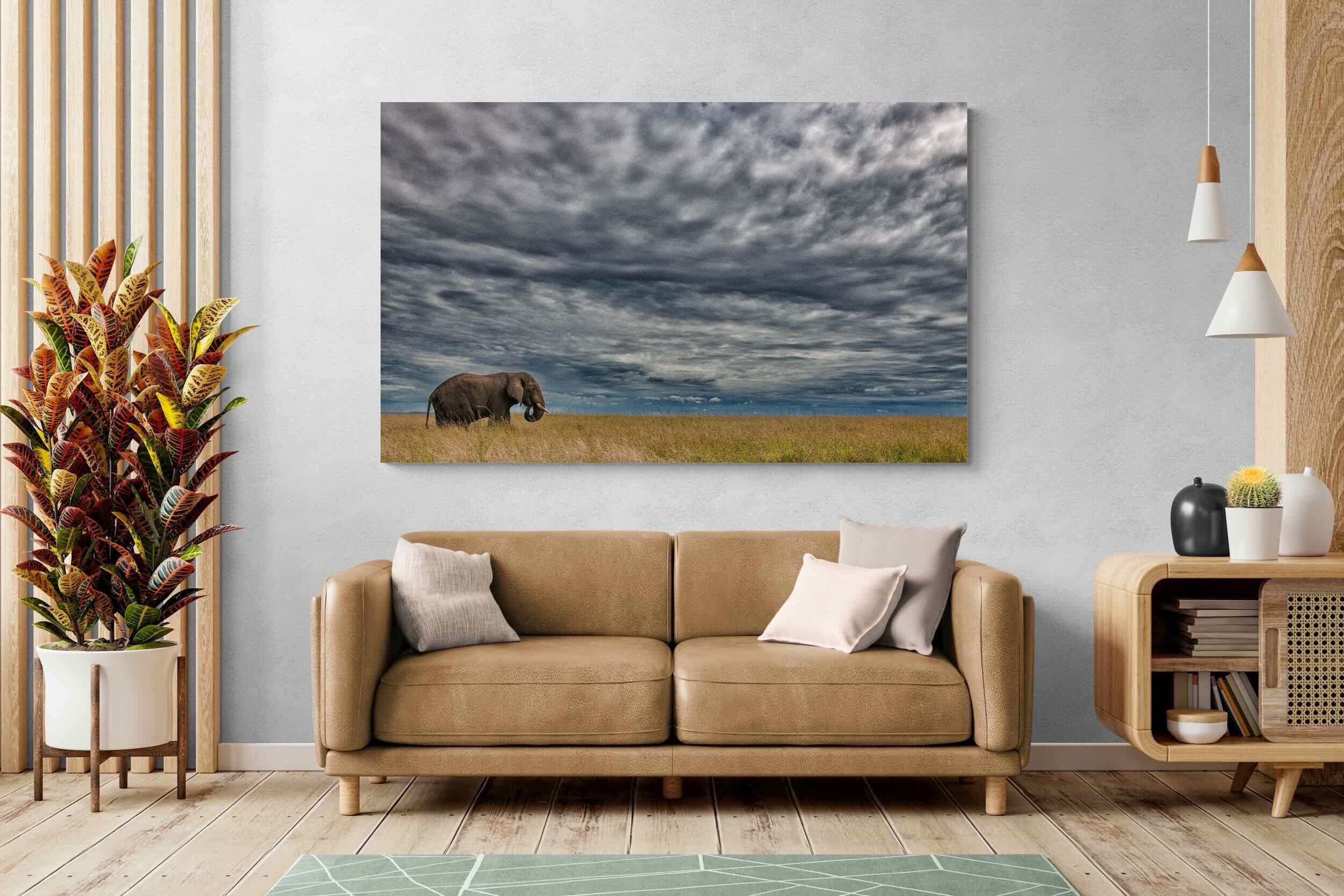 Pixalot Elephant Horizon