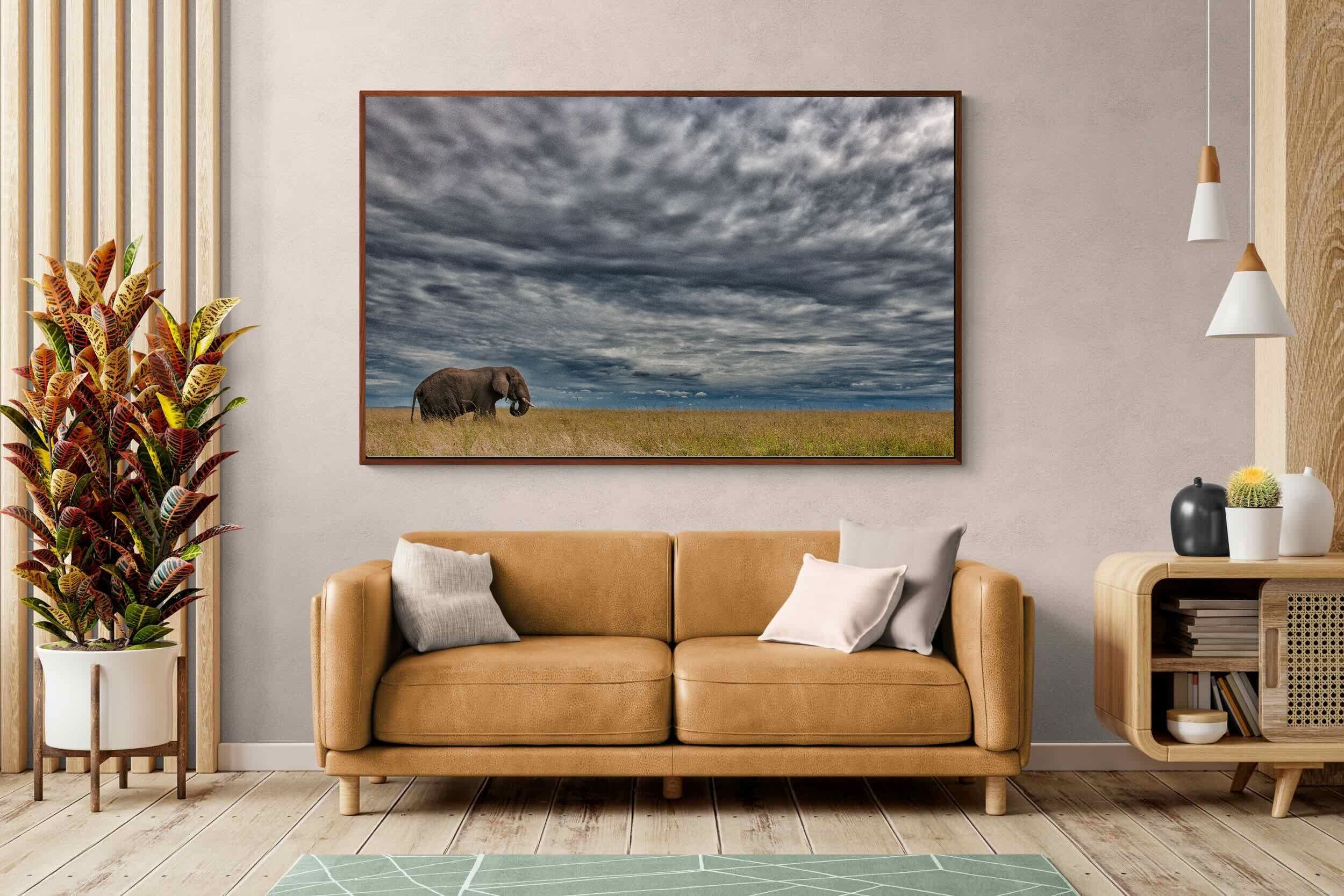 Pixalot ® Elephant Horizon