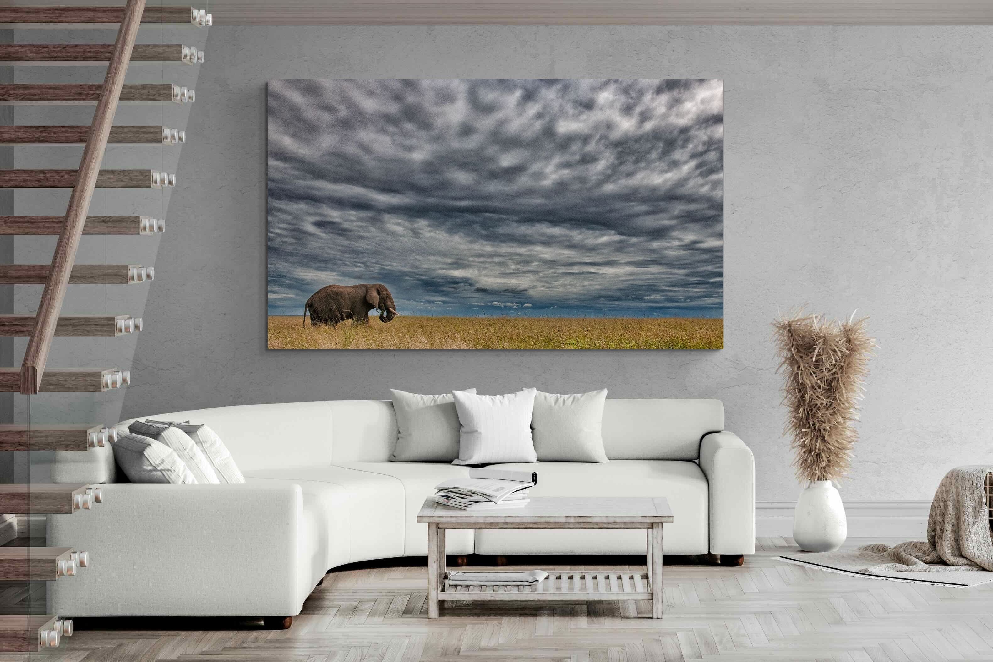 Pixalot Elephant Horizon