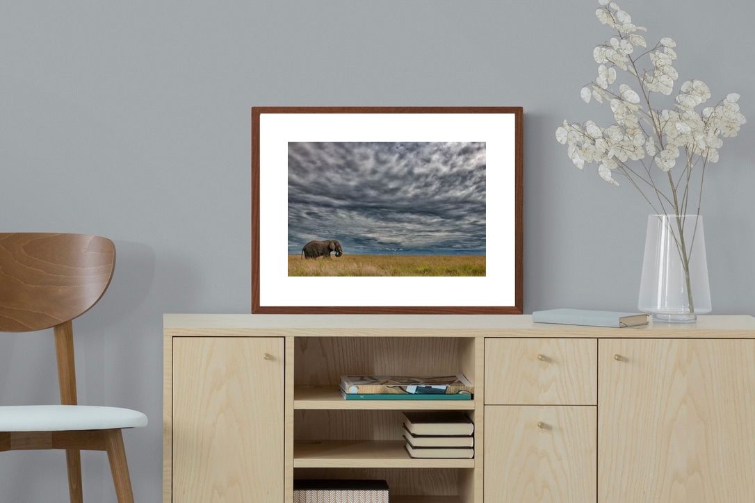 Pixalot ® Elephant Horizon