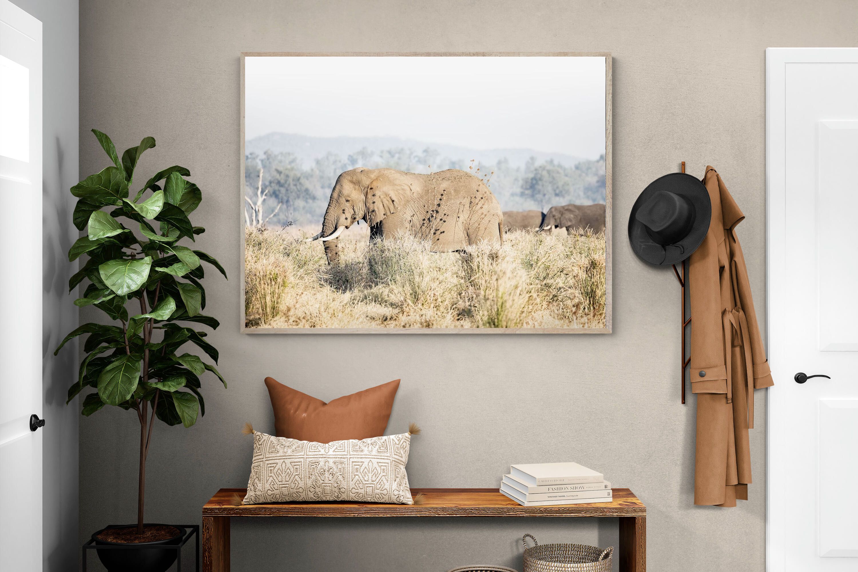 Pixalot Elephant in Leonotis