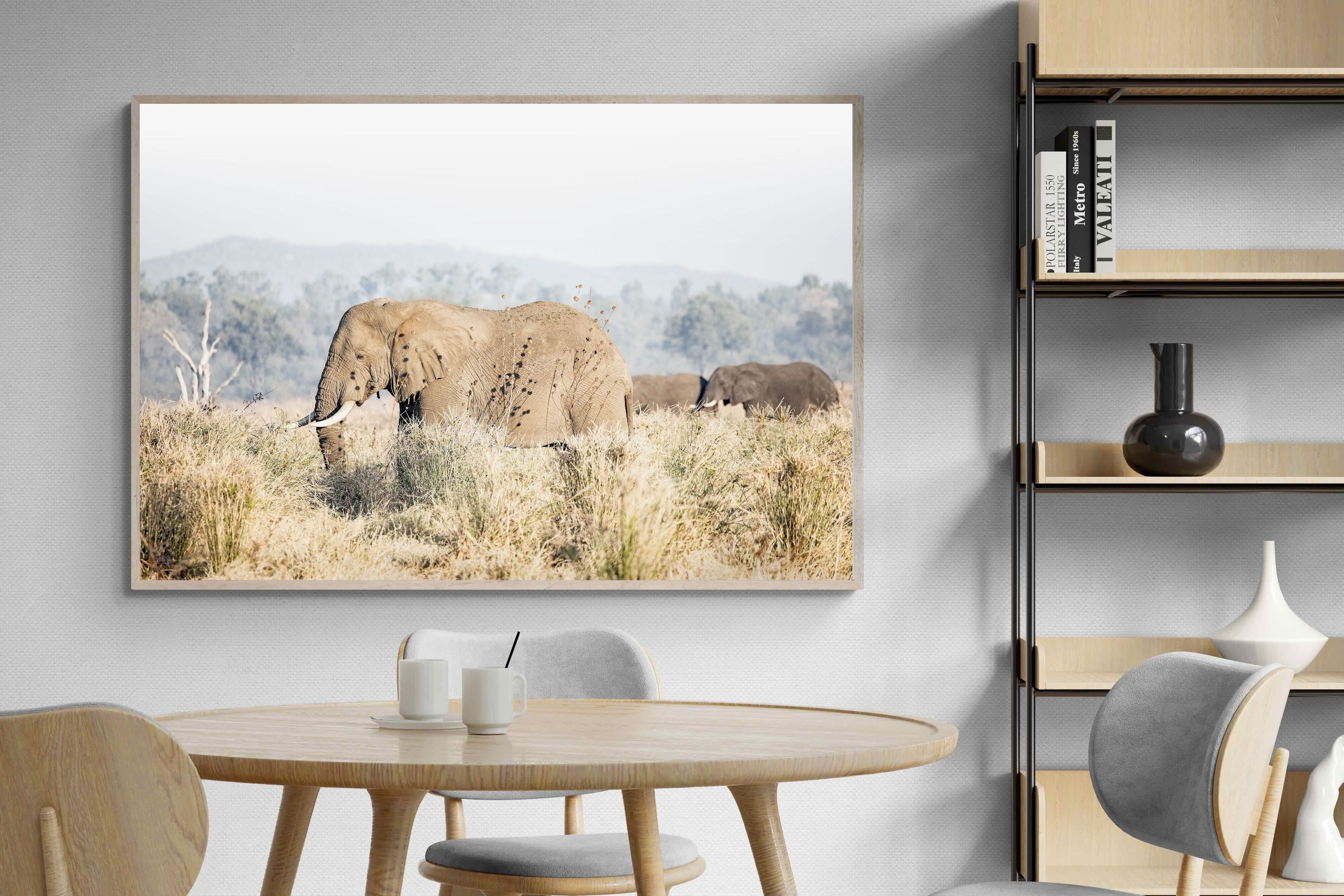 Pixalot Elephant in Leonotis