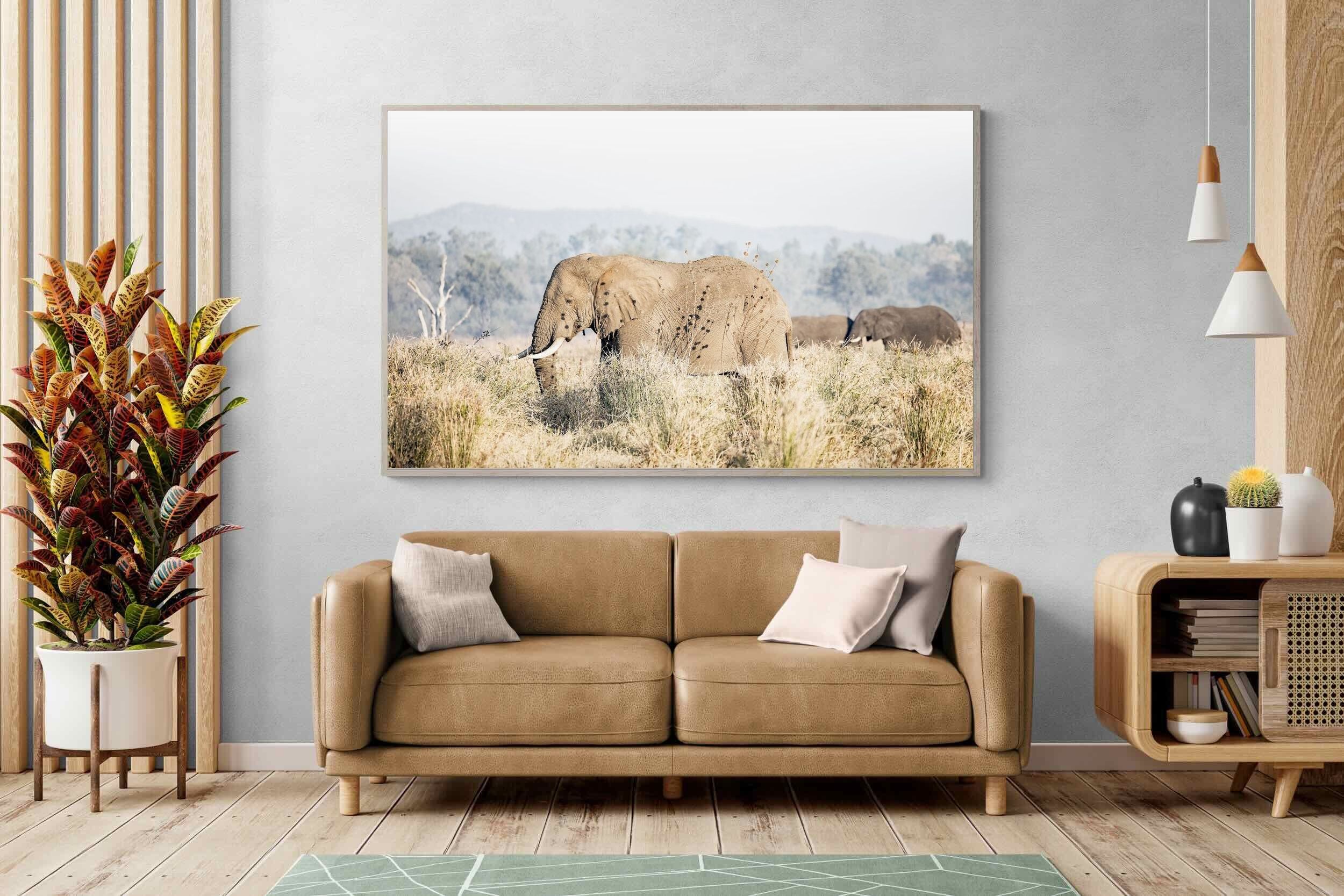 Pixalot Elephant in Leonotis