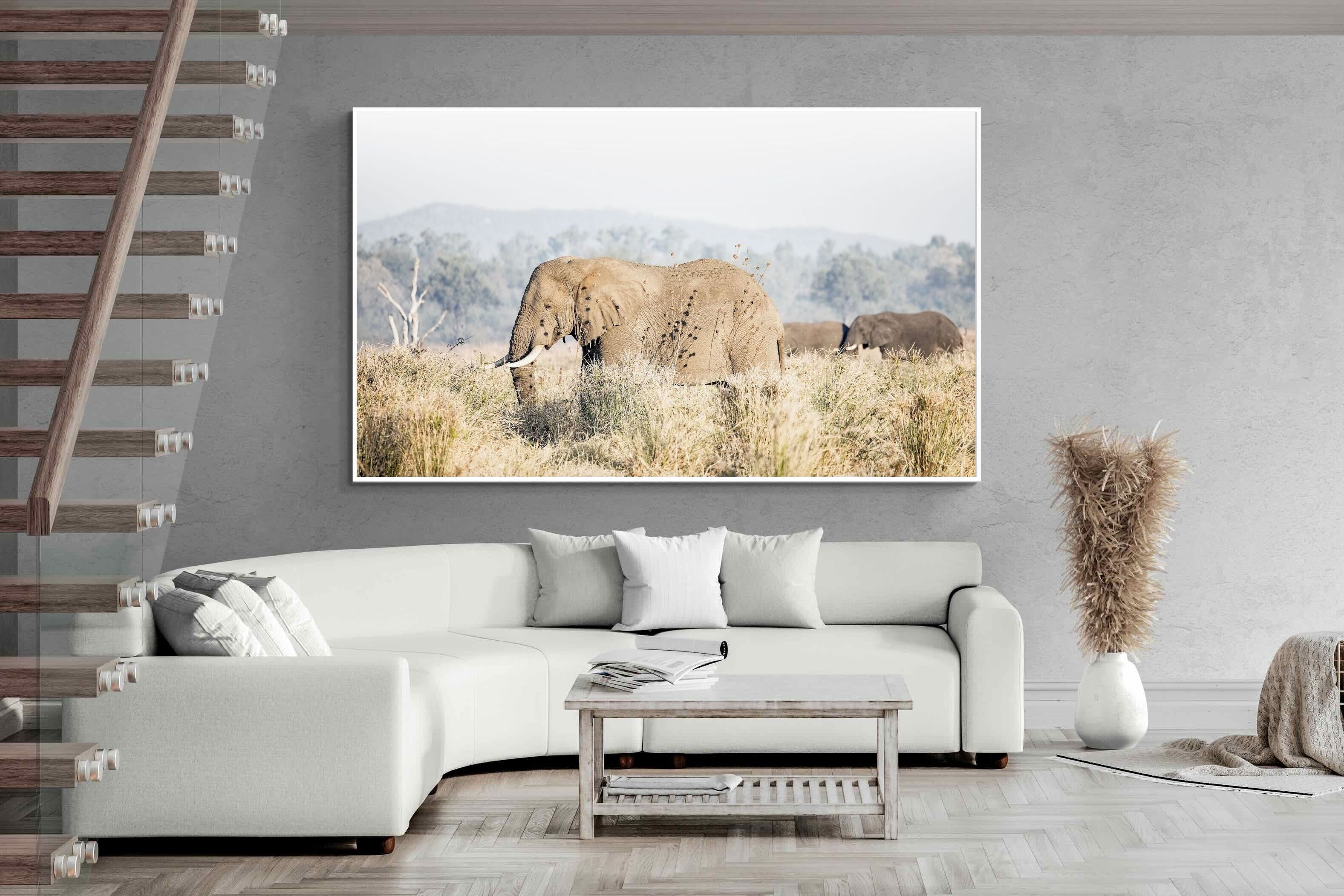 Pixalot Elephant in Leonotis