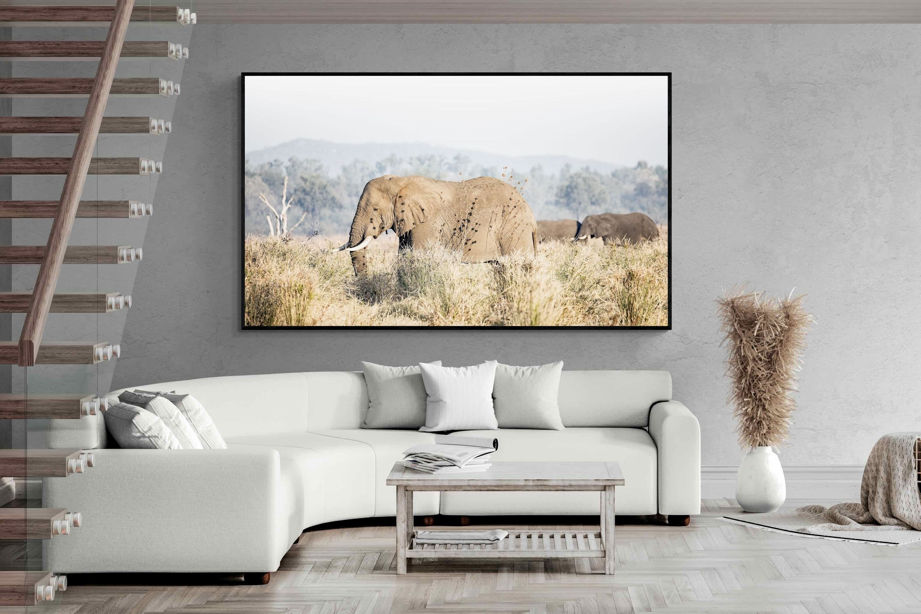 Pixalot Elephant in Leonotis