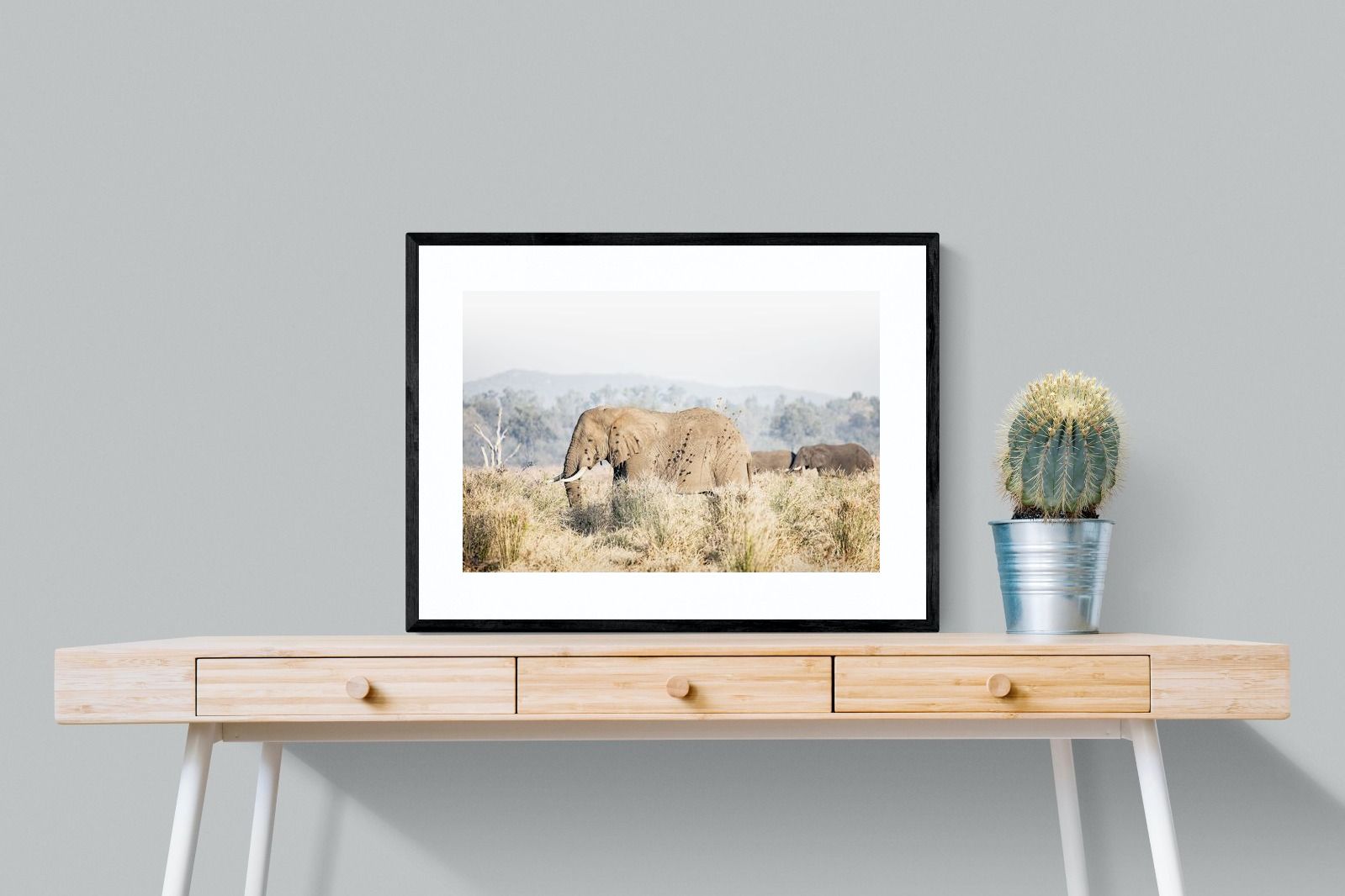 Pixalot Elephant in Leonotis