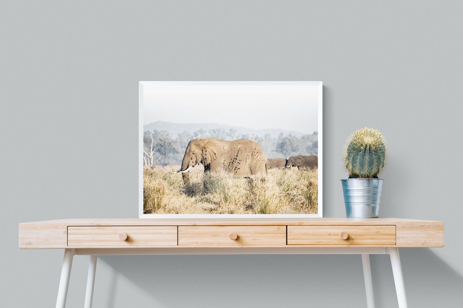 Pixalot Elephant in Leonotis