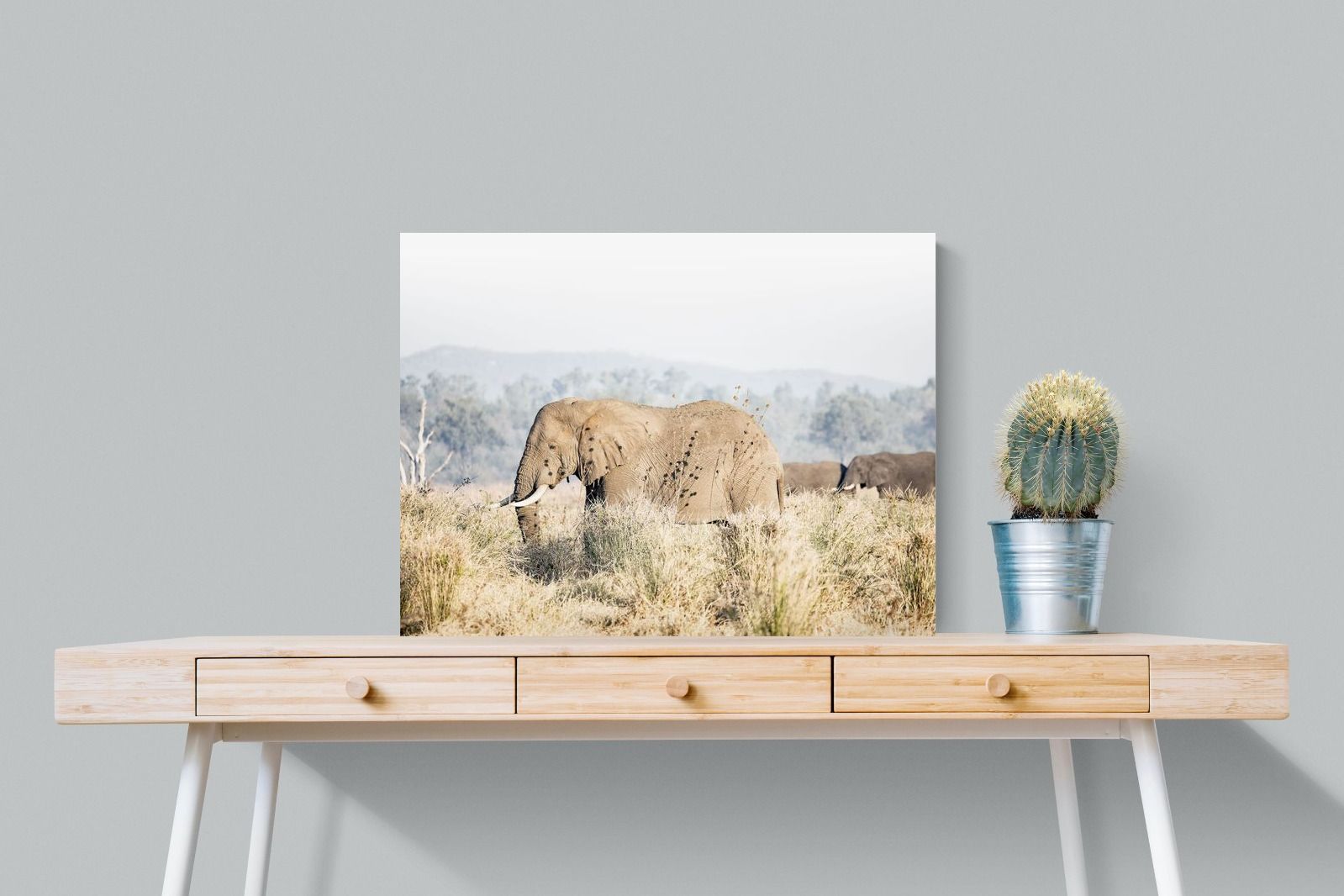 Pixalot Elephant in Leonotis